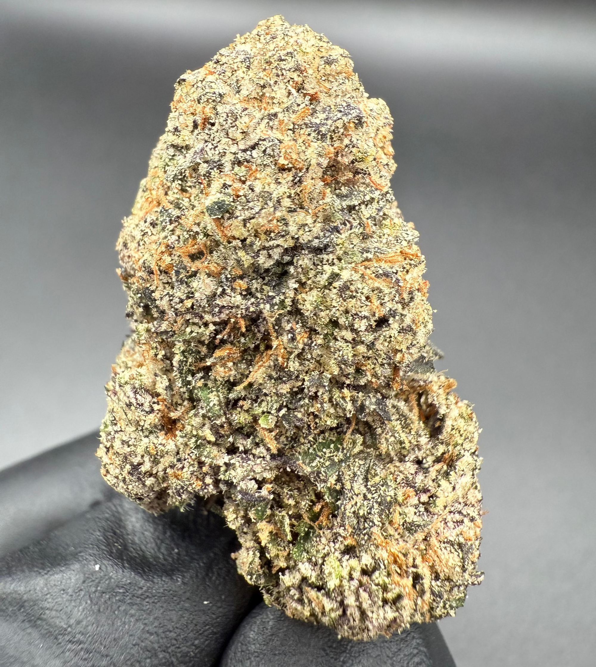 Lemon Cherry Gelato