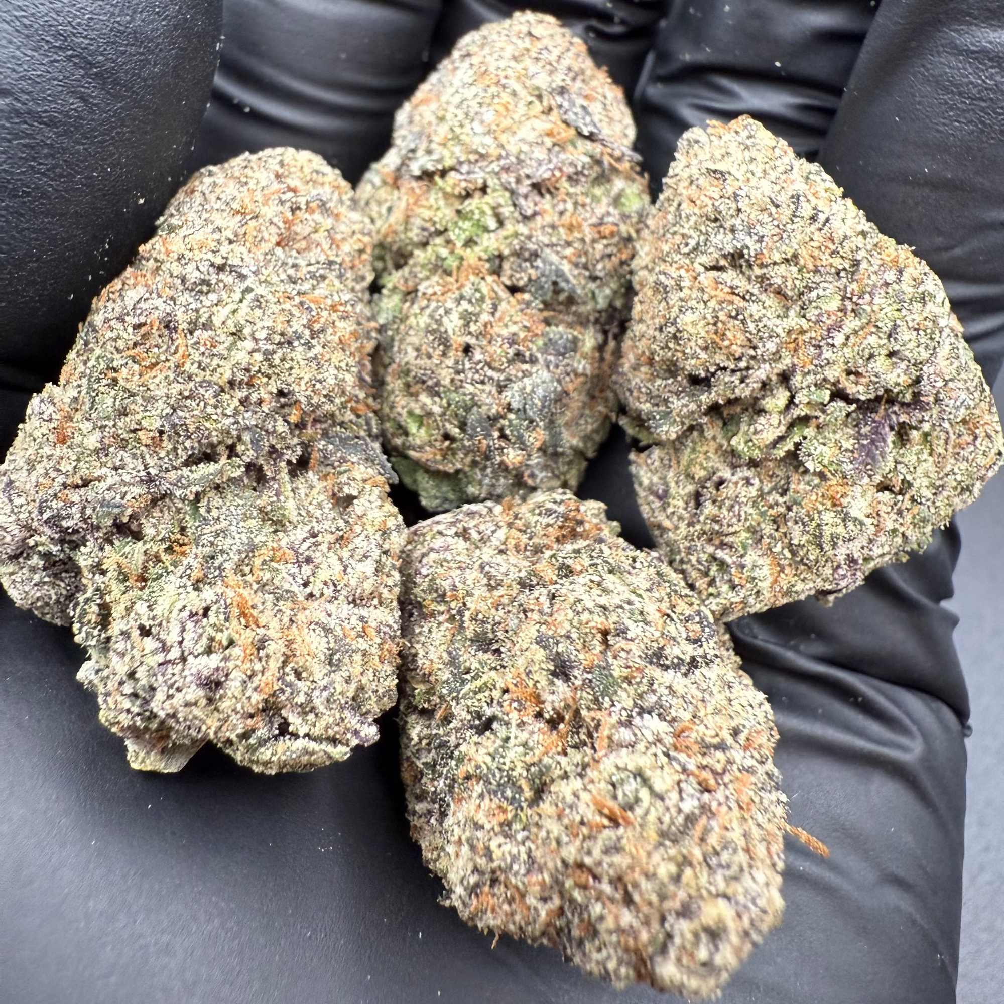 Lemon Cherry Gelato