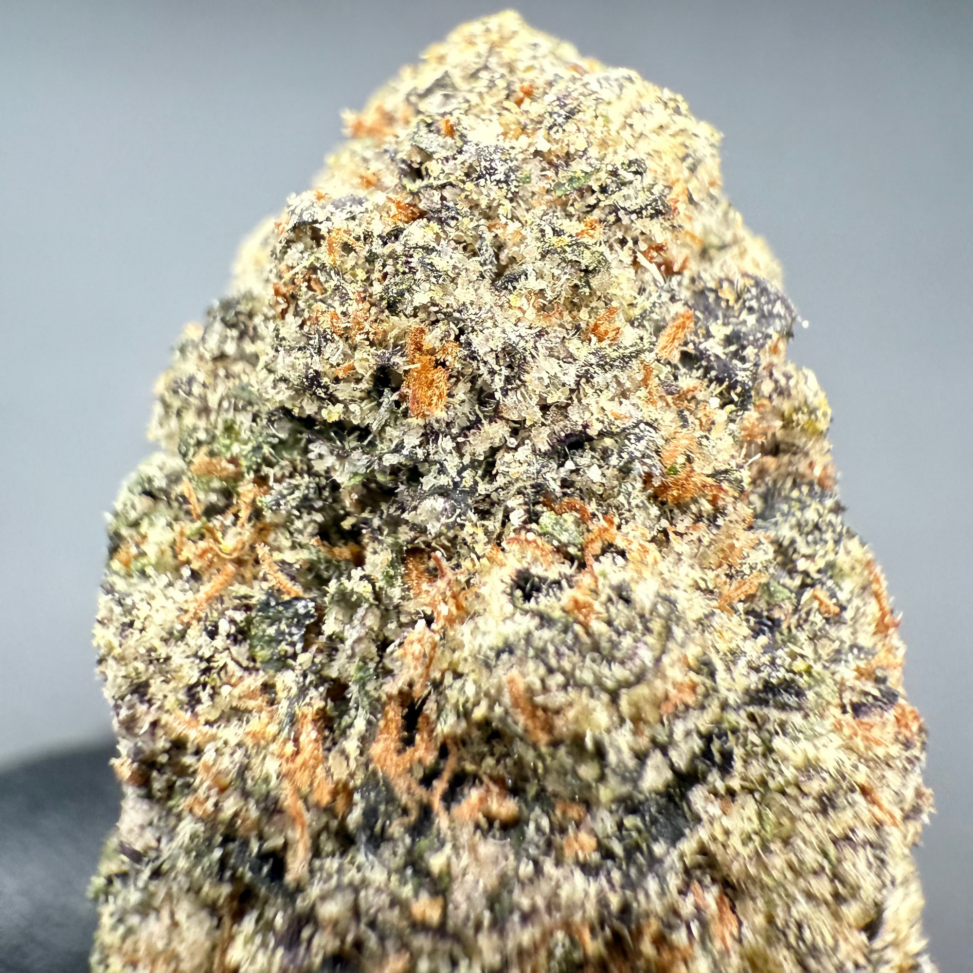 Lemon Cherry Gelato
