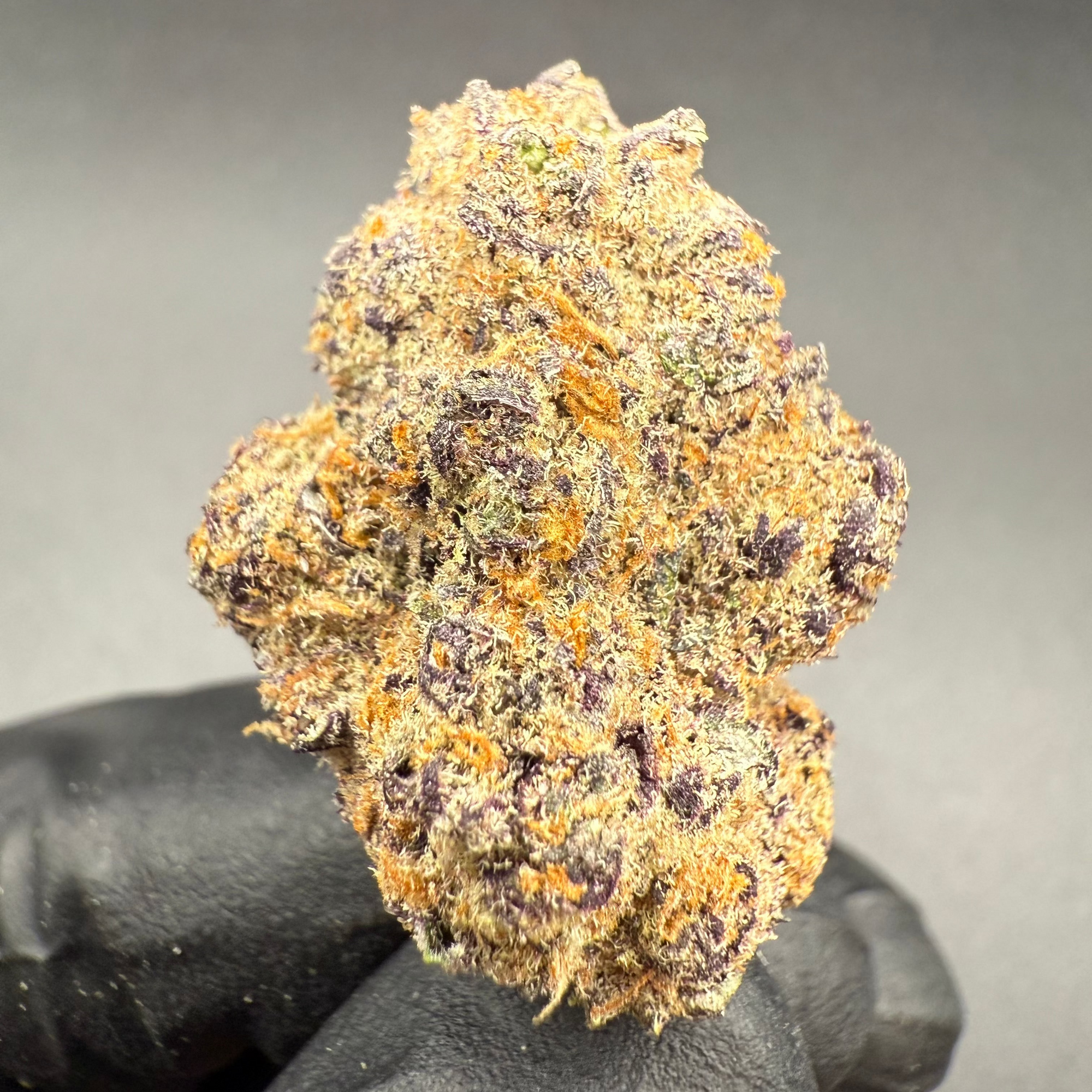 Artificial Sour