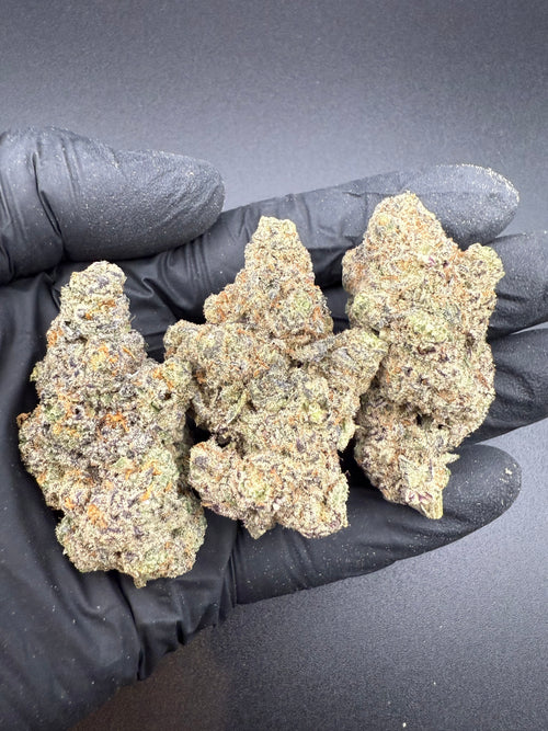 Black Dolphin - Exotic THCa Flower