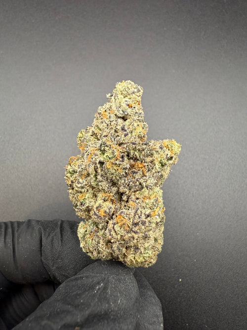 Black Dolphin - Exotic THCa Flower