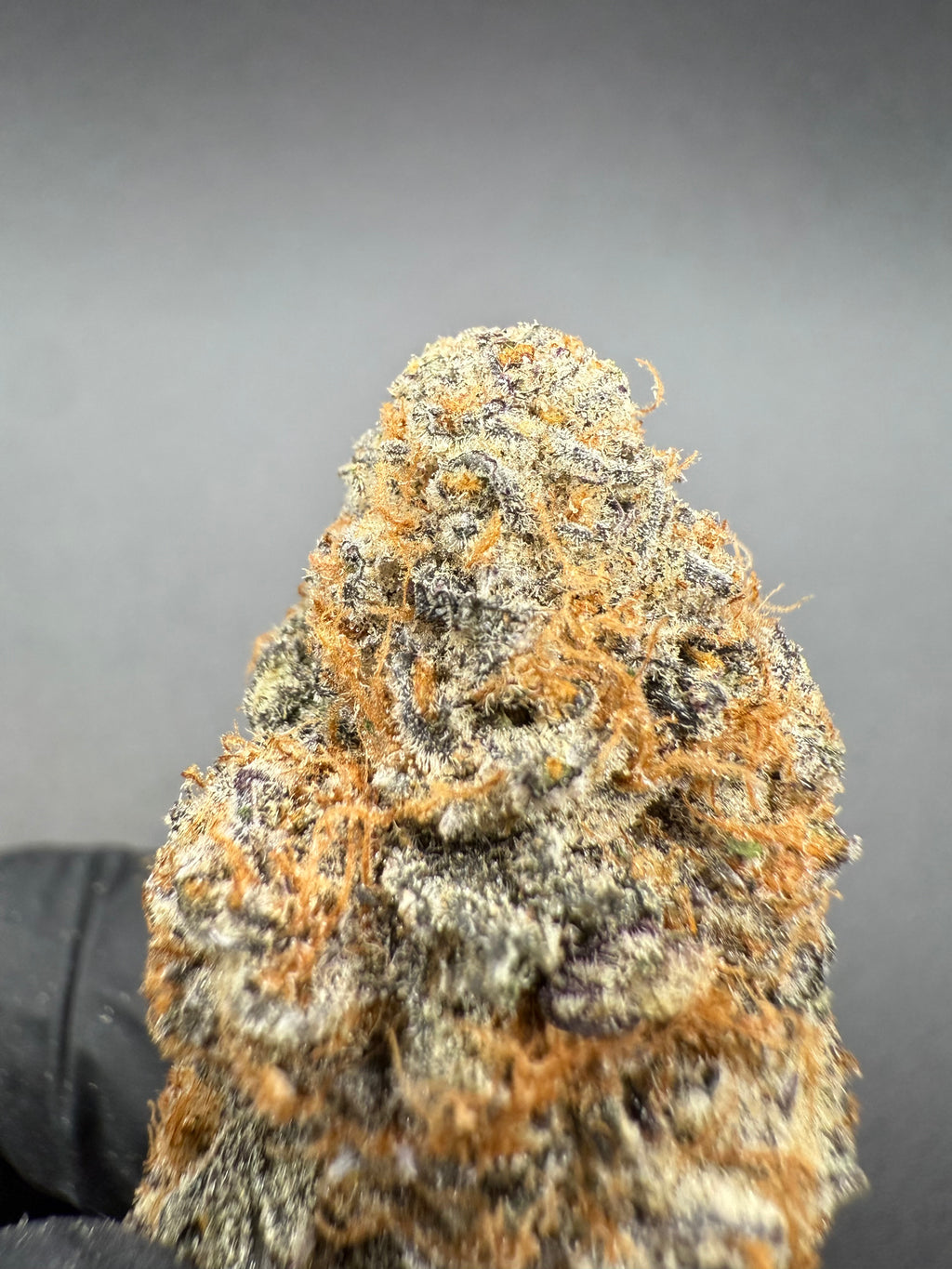 Peanut Butter Breath