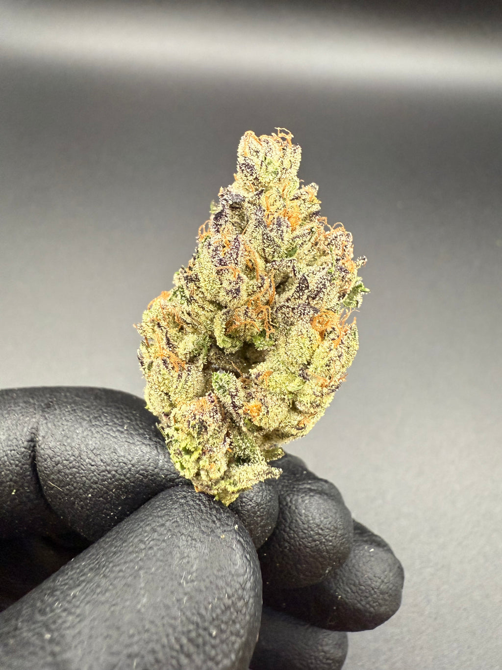 Ice Cream Cake Smalls