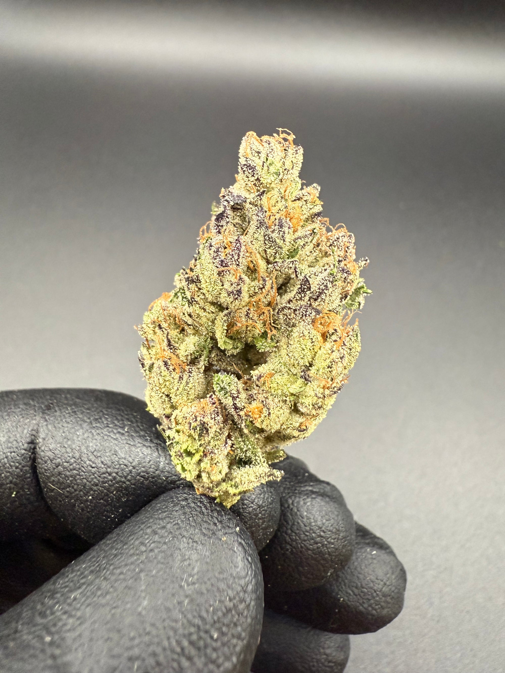 Ice Cream Cake Smalls