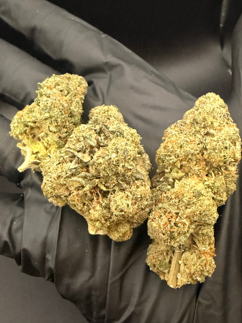 Acai Berry Gelato -  Premium Bulk THCa Flower