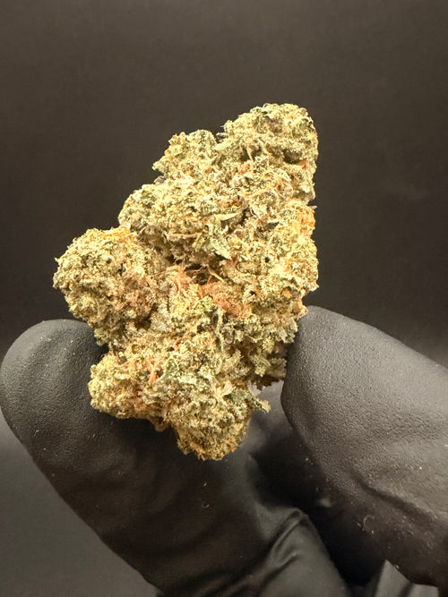 Acai Berry Gelato -  Premium Bulk THCa Flower