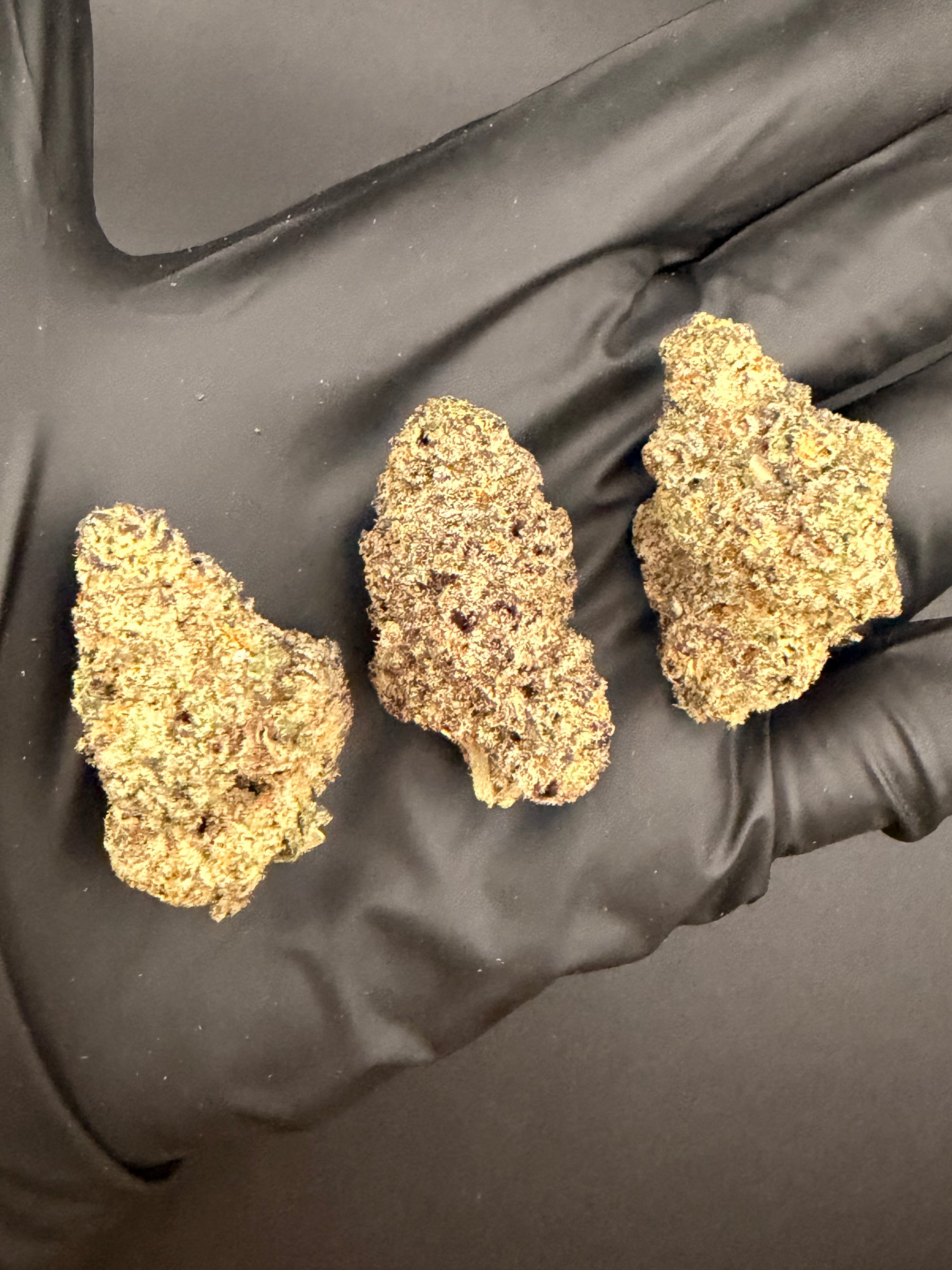 Baja Blast - Exotic Bulk THCa Flower