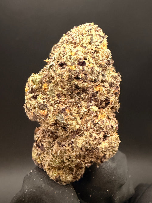 Baja Blast - Exotic Bulk THCa Flower