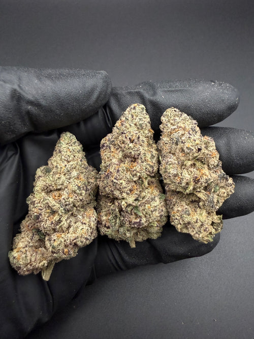 Baja Blast - Exotic Bulk THCa Flower