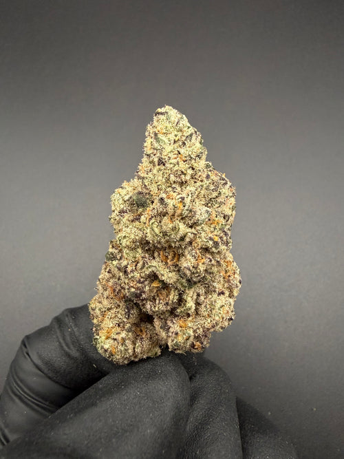 Baja Blast - Exotic Bulk THCa Flower