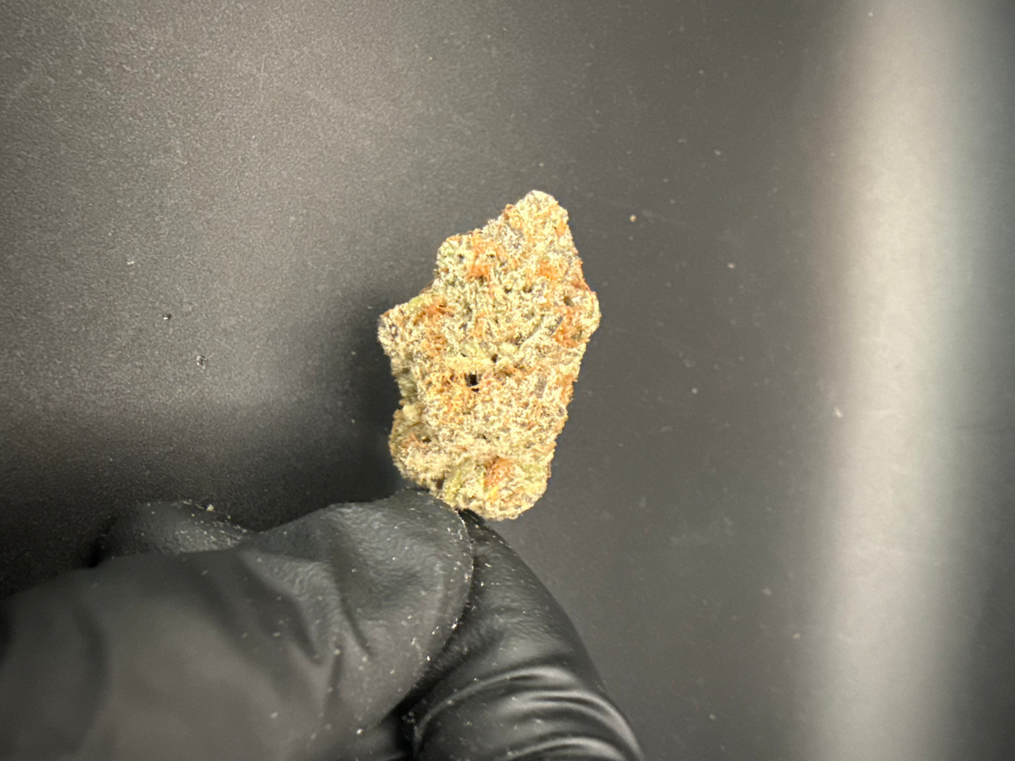 Black Maple - Exotic THCa Flower