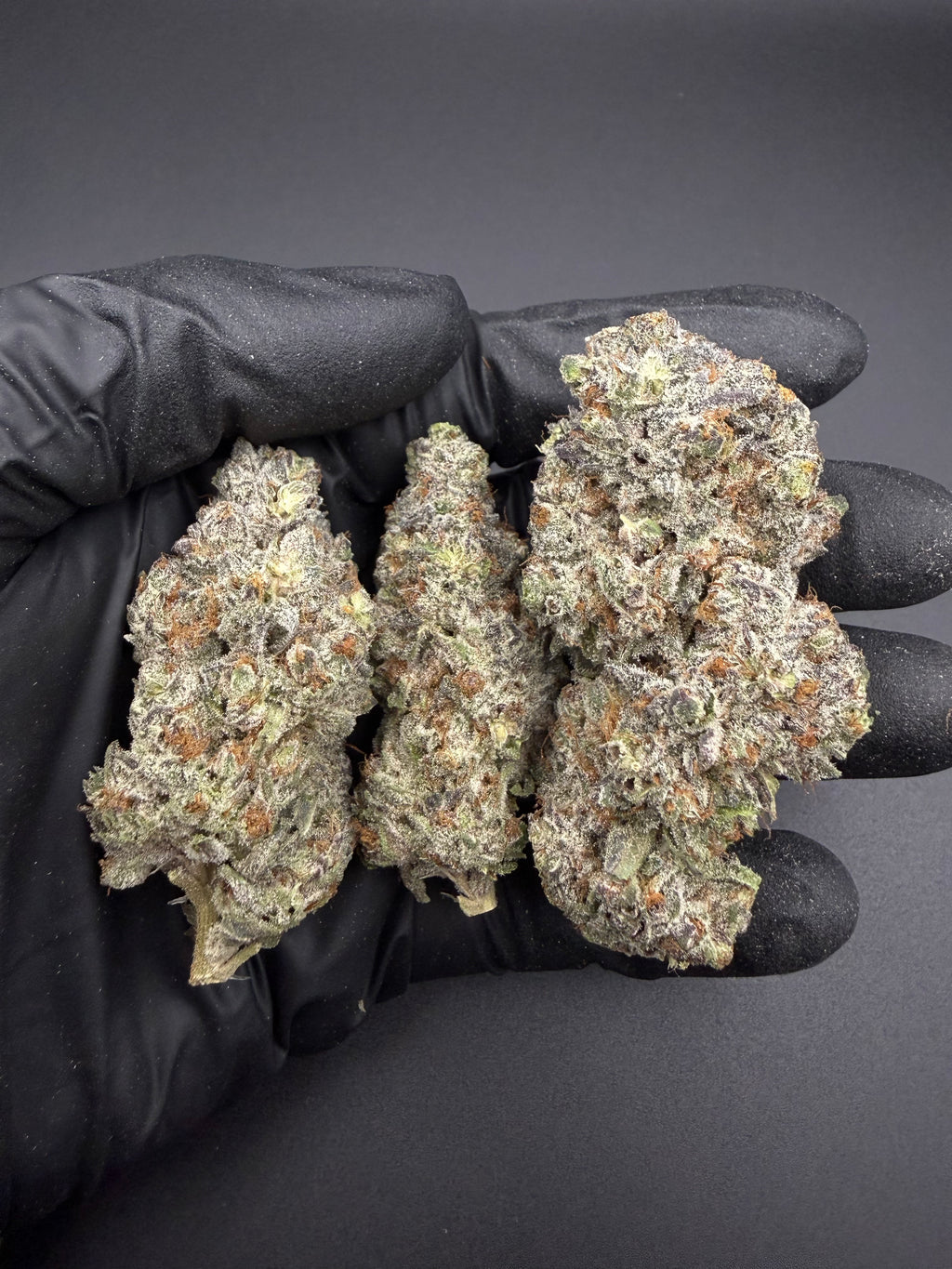 Black Cherry Runtz - Exotic THCa Flower