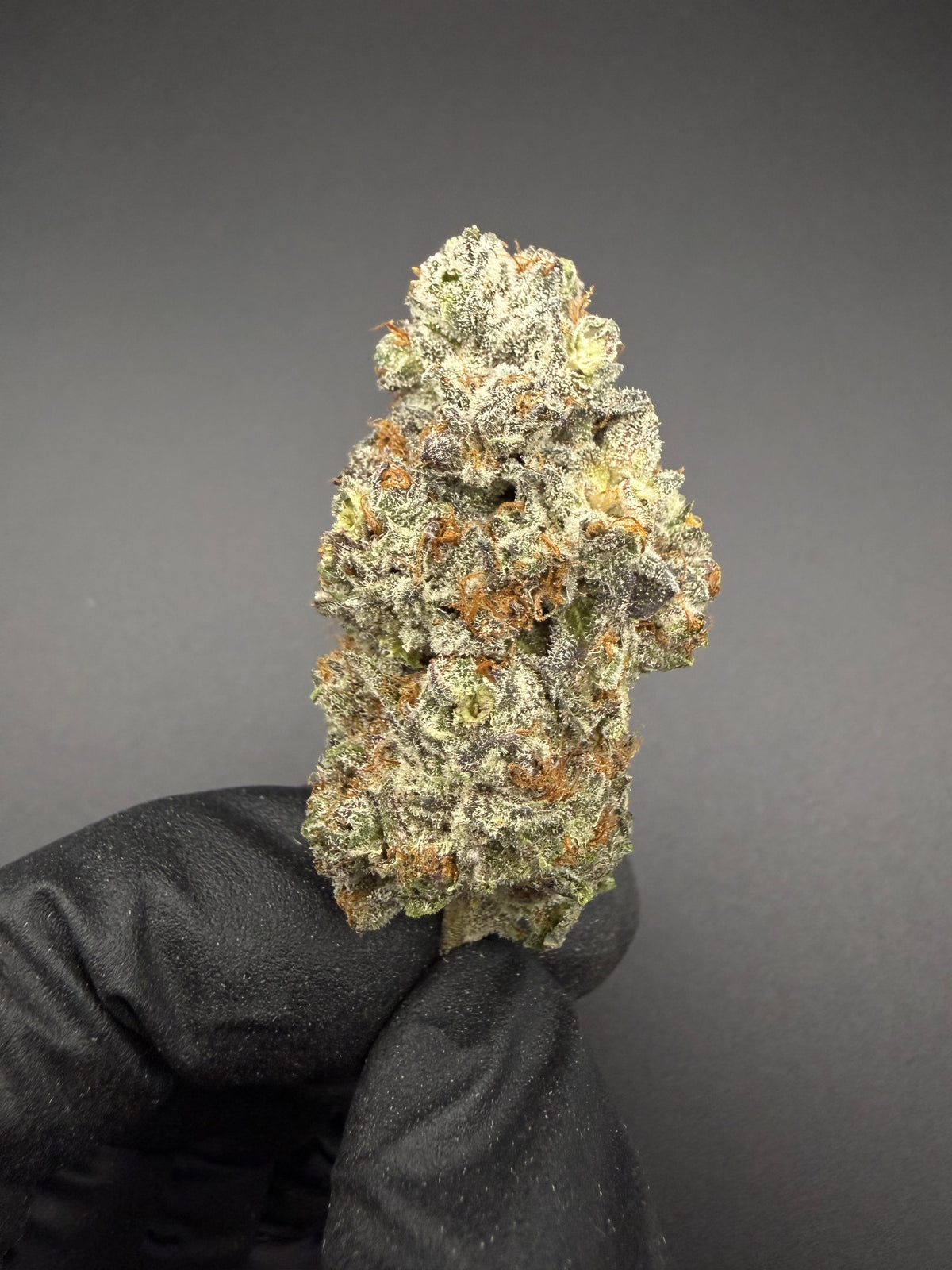 Black Cherry Runtz - Exotic THCa Flower