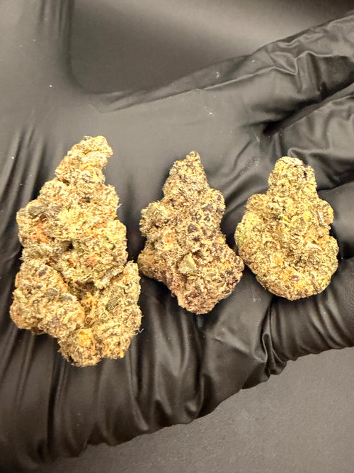 Black Dolphin - Exotic Bulk THCa Flower