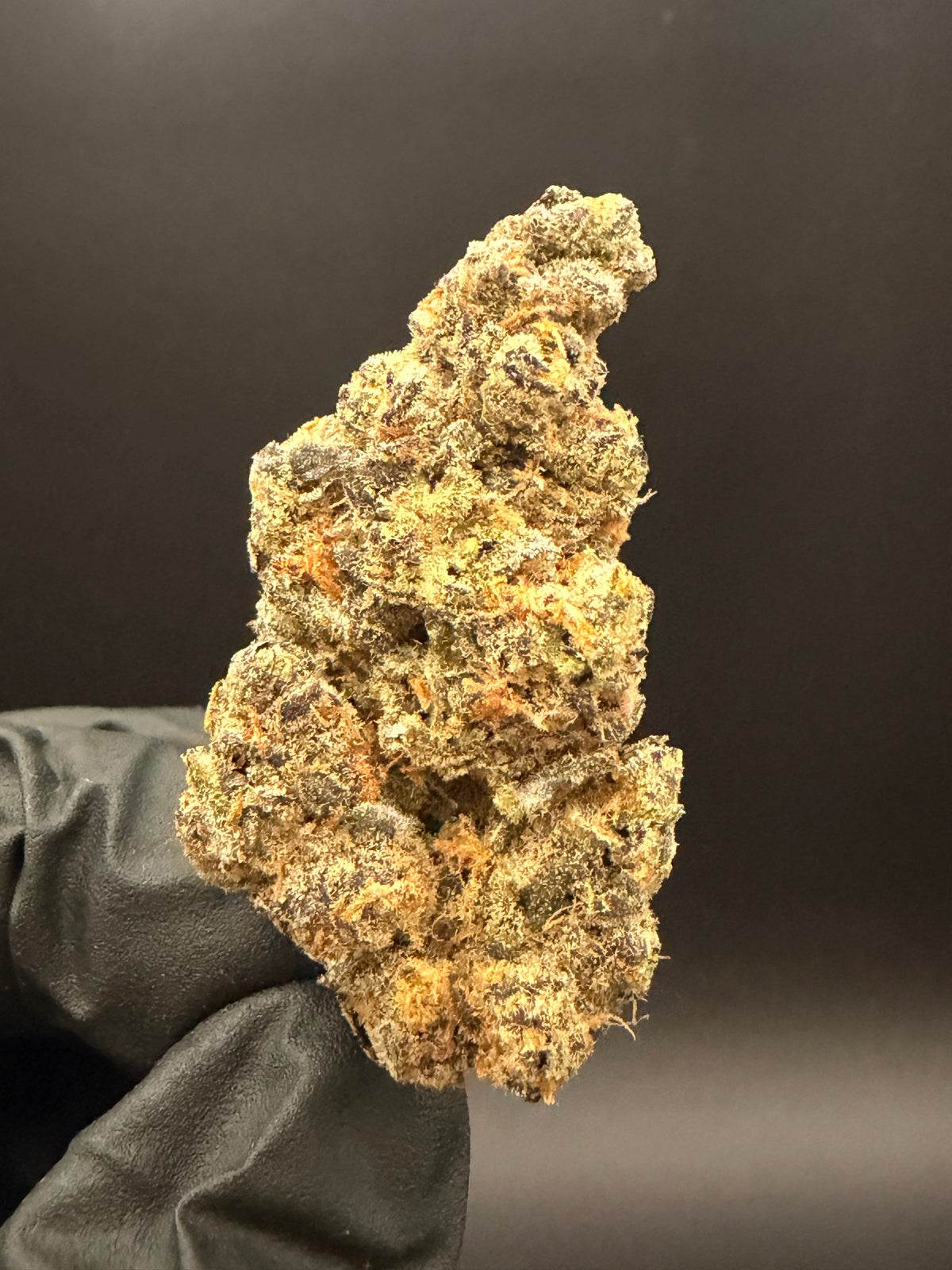 Black Dolphin - Exotic THCa Flower