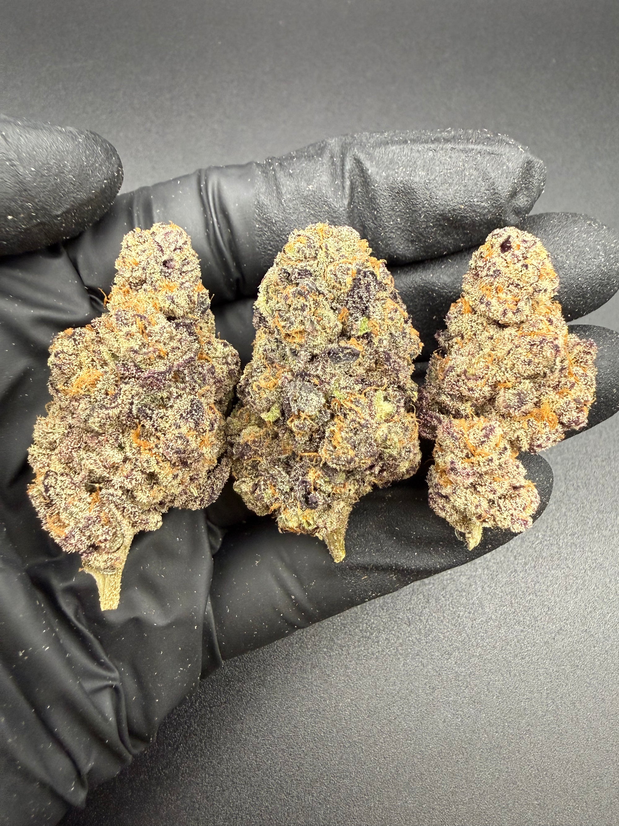 Black Maple- Premium Bulk THCa Flower