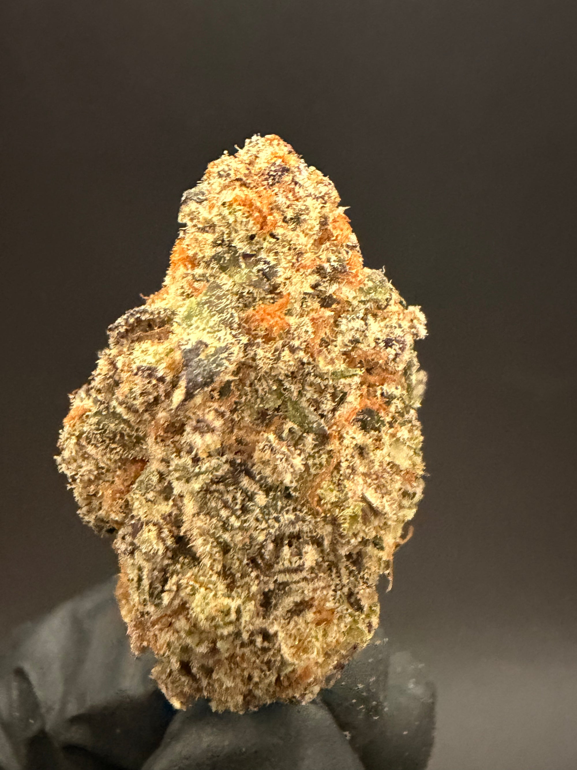 Black Maple - Exotic Bulk THCa Flower