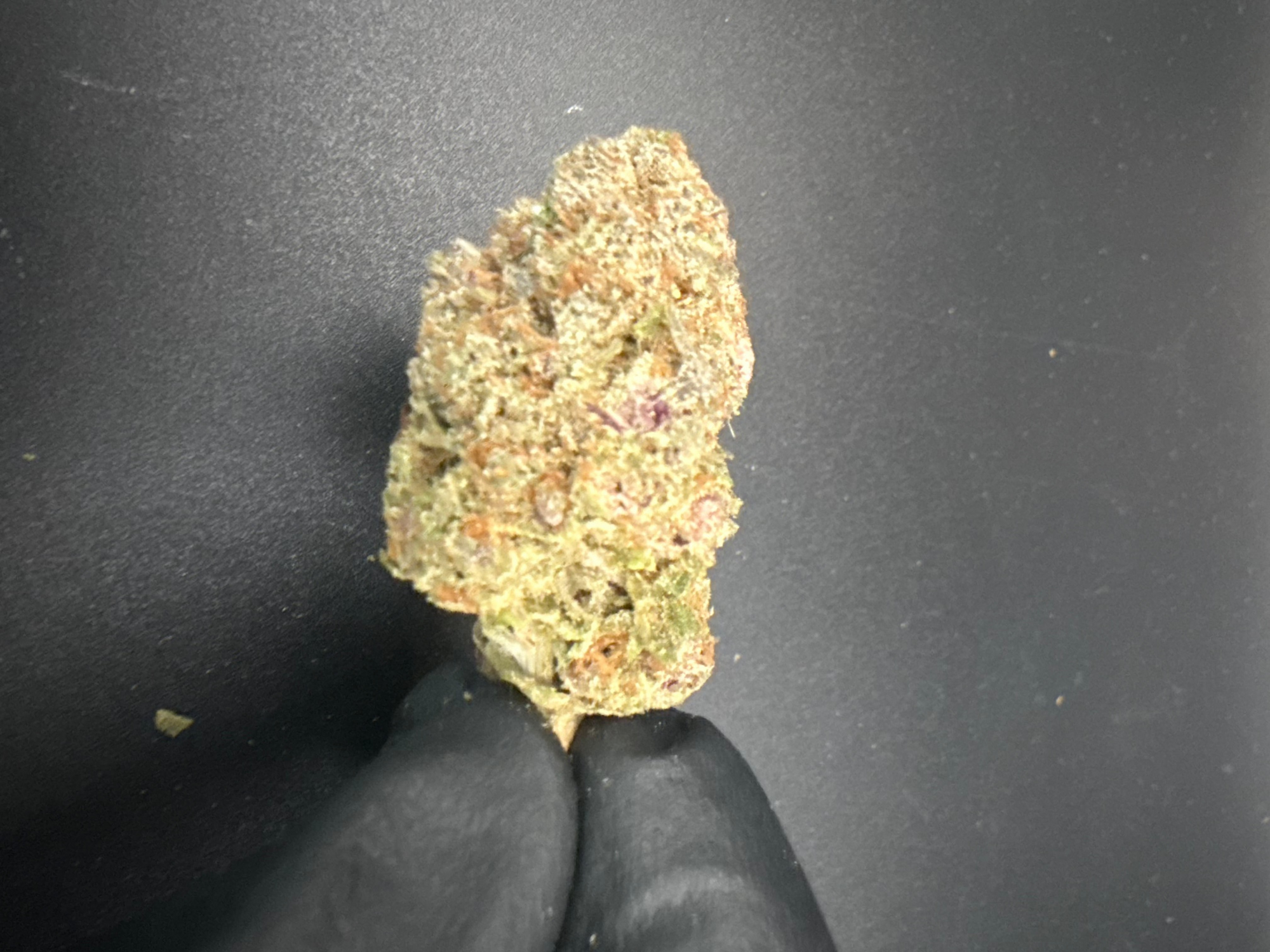 Block Berry - Premium Bulk THCa Flower