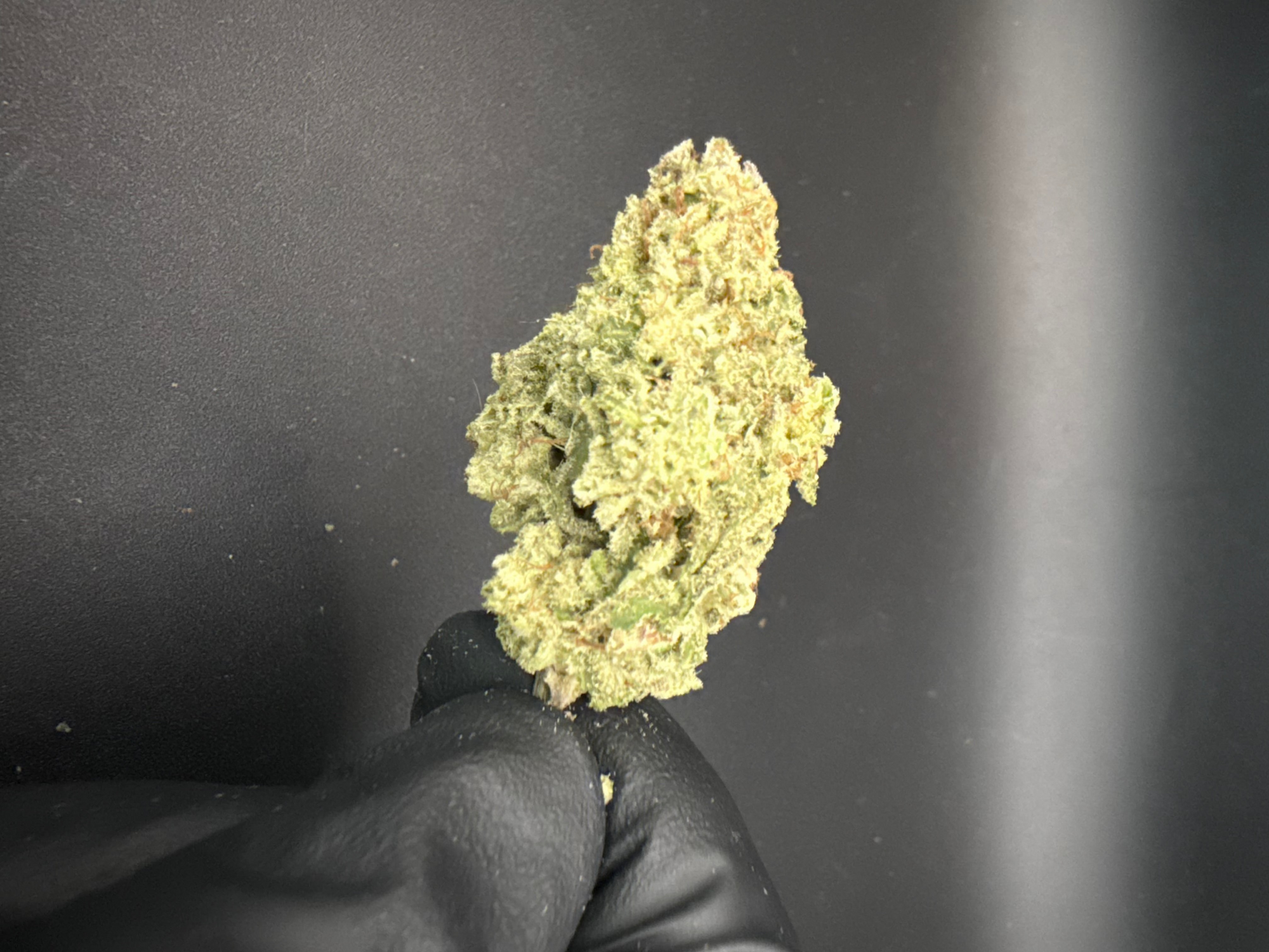 Cali Burger - Economy THCa Flower