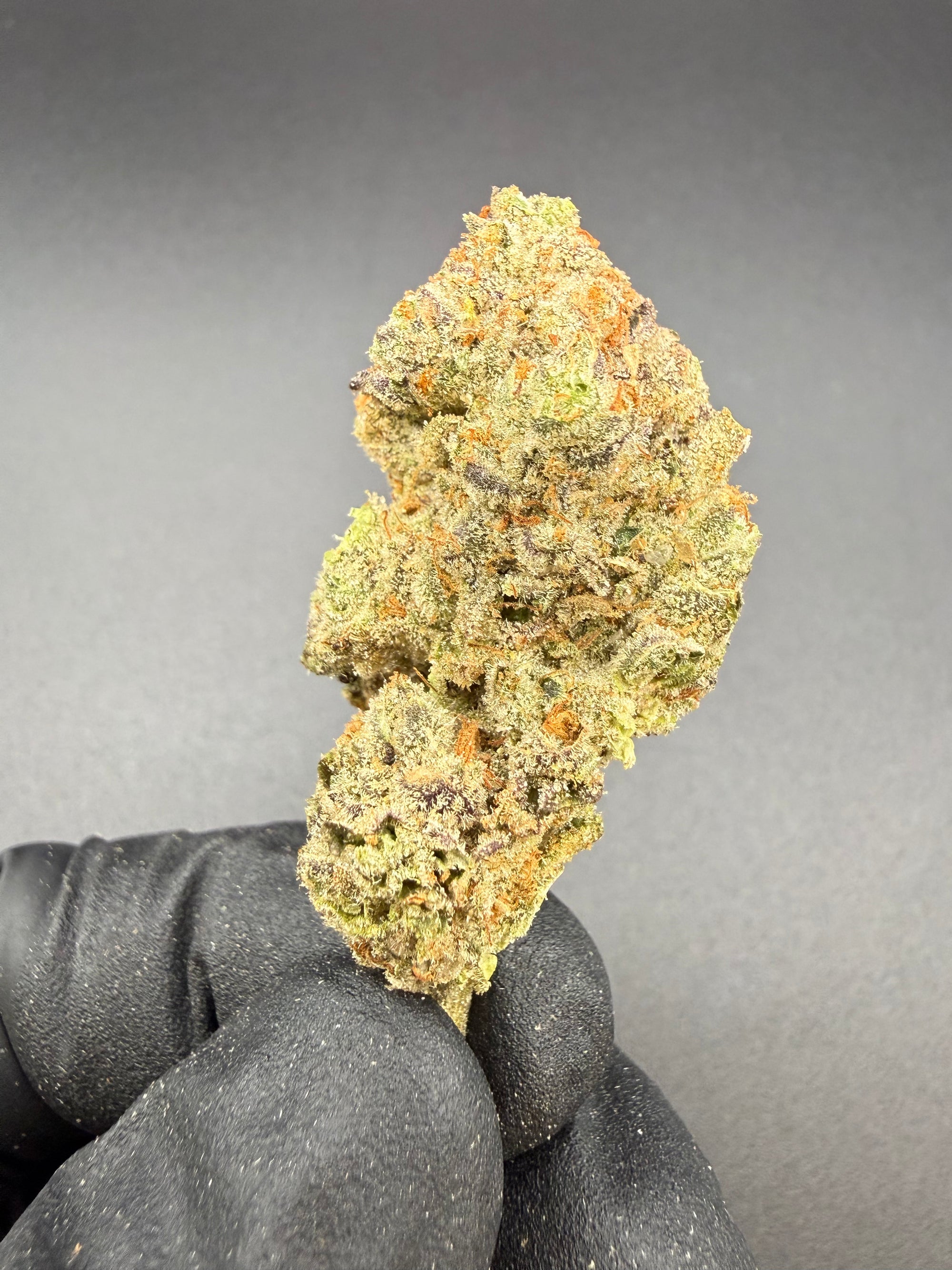 Canal Runtz -  Exotic Bulk THCa Flower