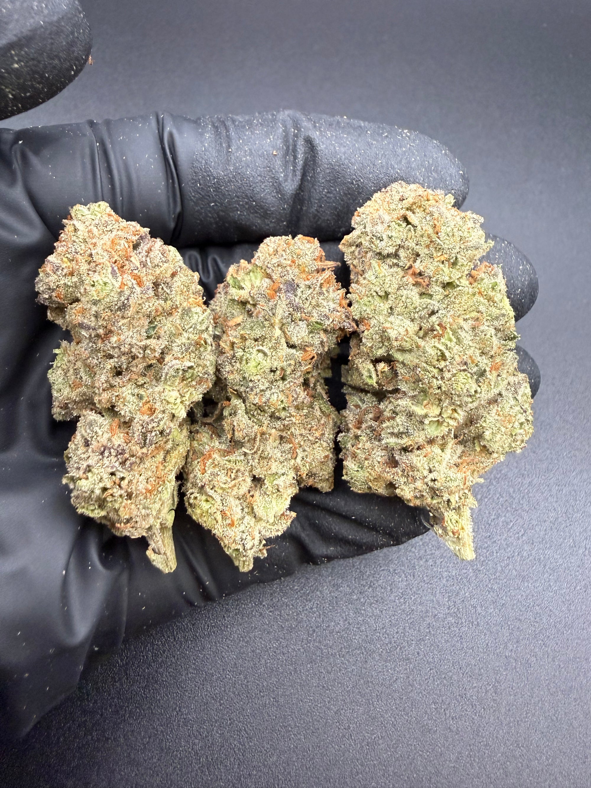 Canal Runtz -  Exotic Bulk THCa Flower