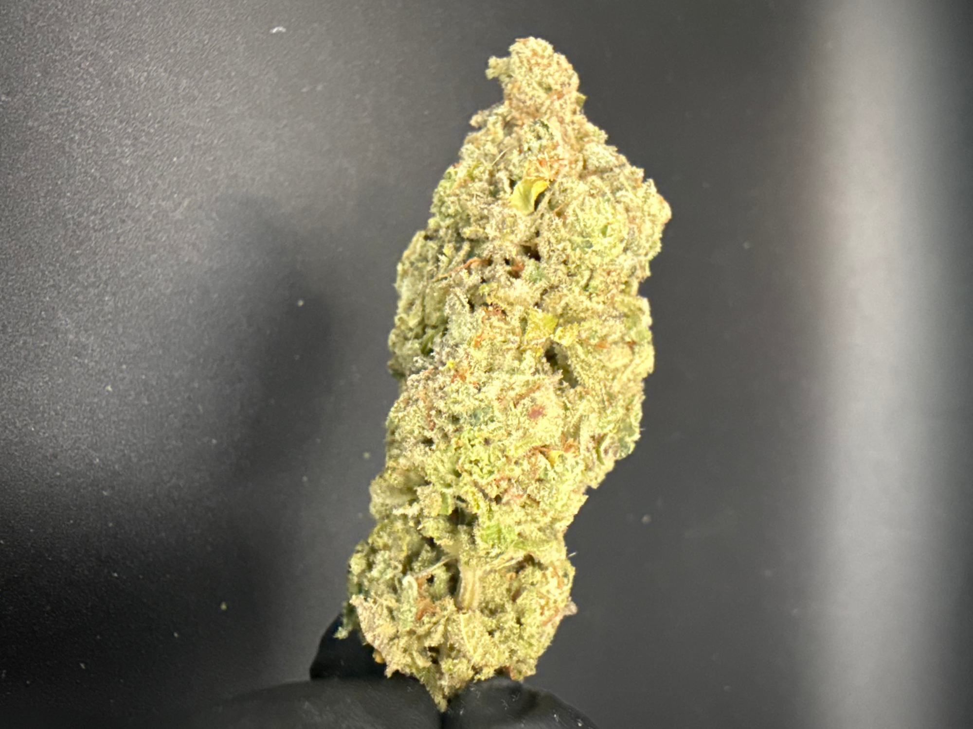 Cap Junky - Premium Bulk THCa Flower