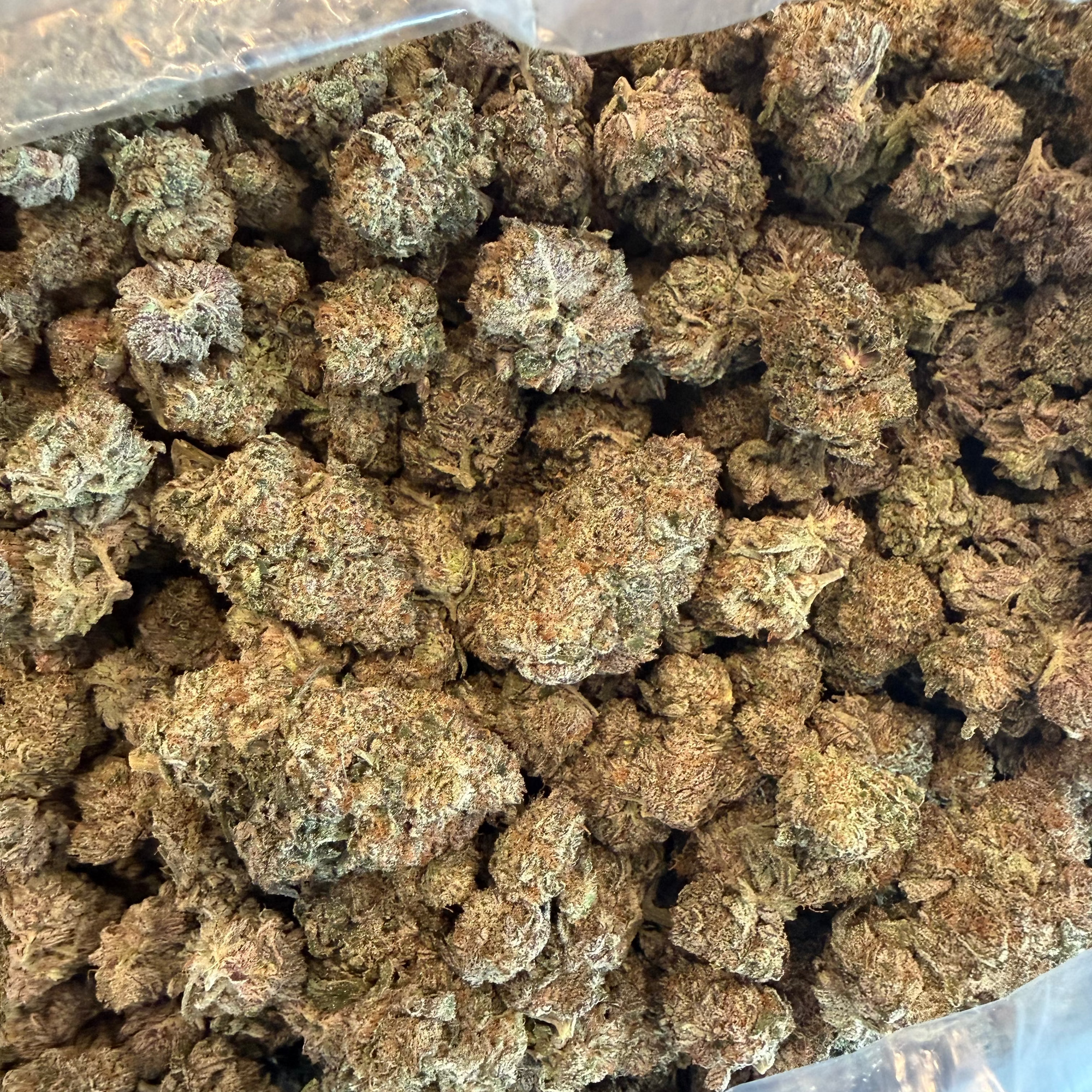 Tesoro Hemp Cookies and Cream THCa Hemp Flower