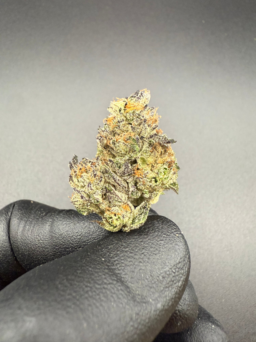 Ice Cream Cake Smalls