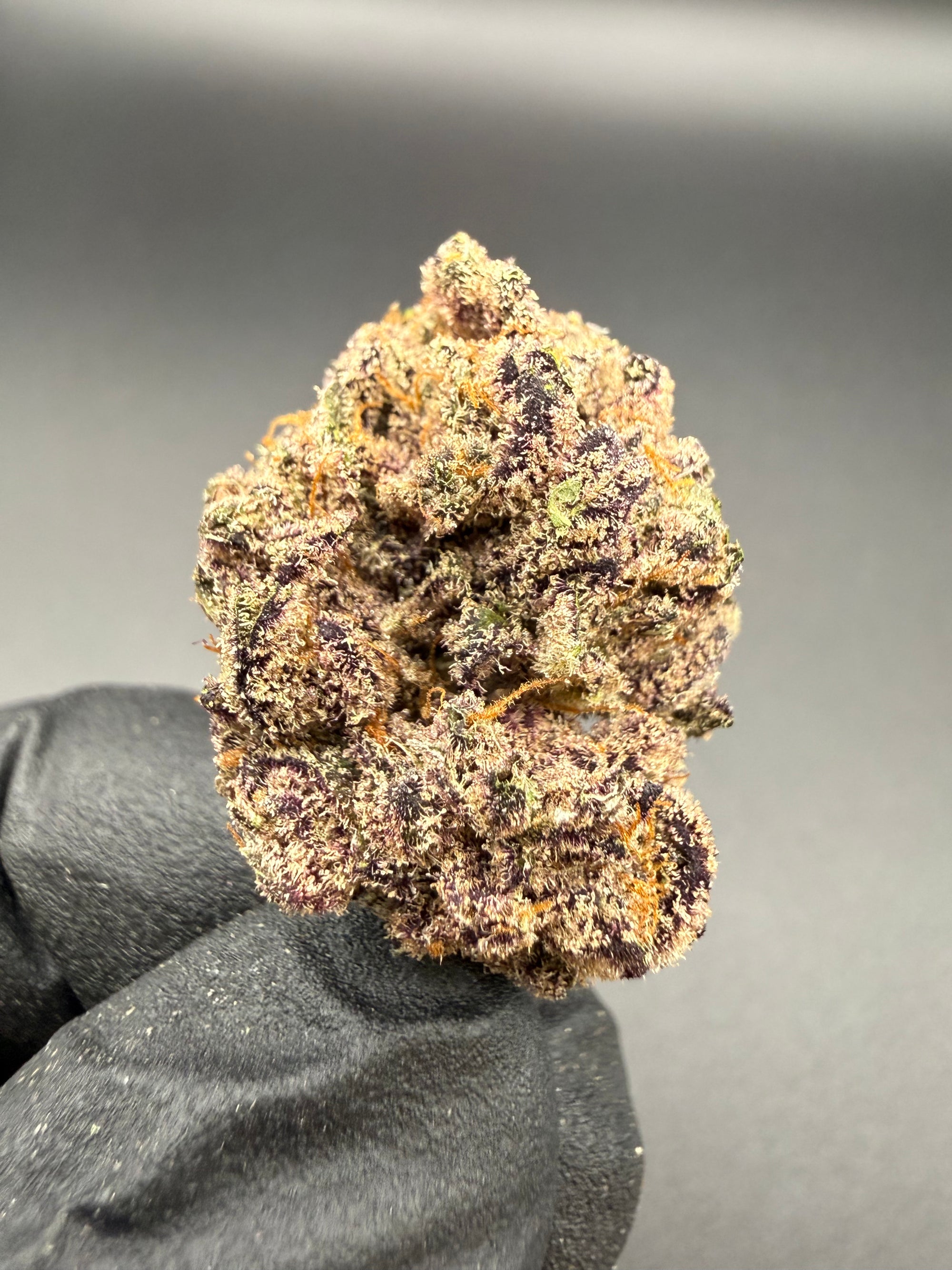 Dark Queen -  Premium Bulk THCa Flower