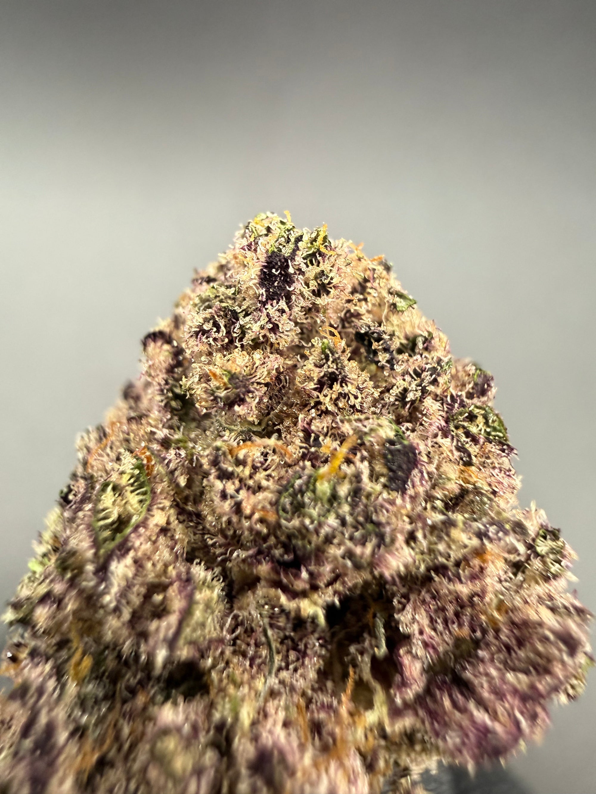 Dark Queen -  Premium Bulk THCa Flower