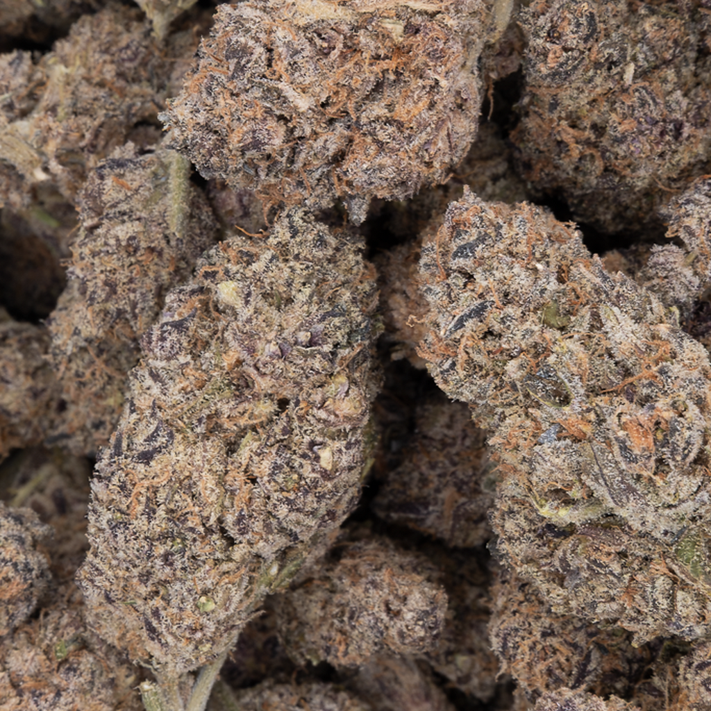 Tesoro Premium Divine Banana THCA Flower