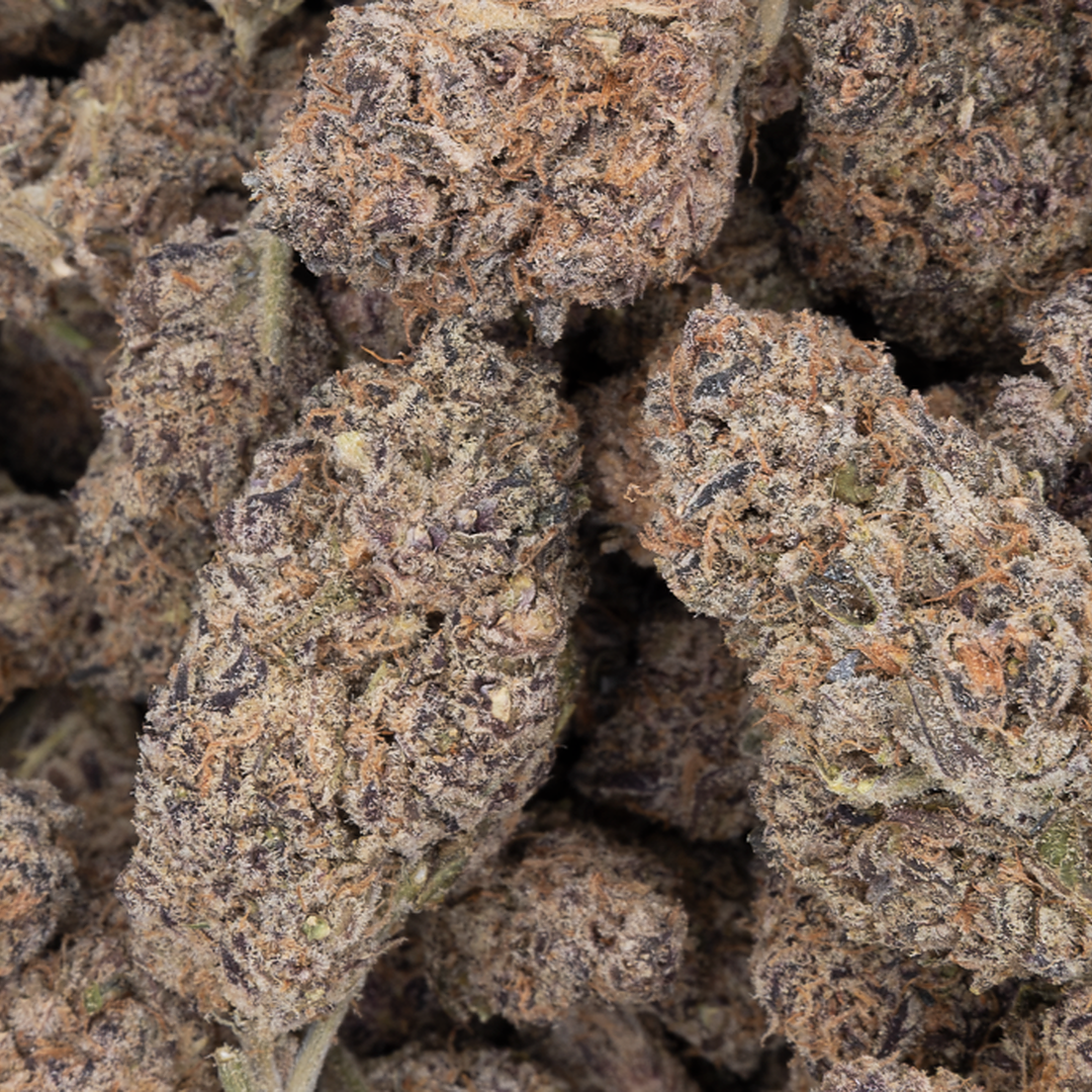Tesoro Premium Divine Banana THCA Flower