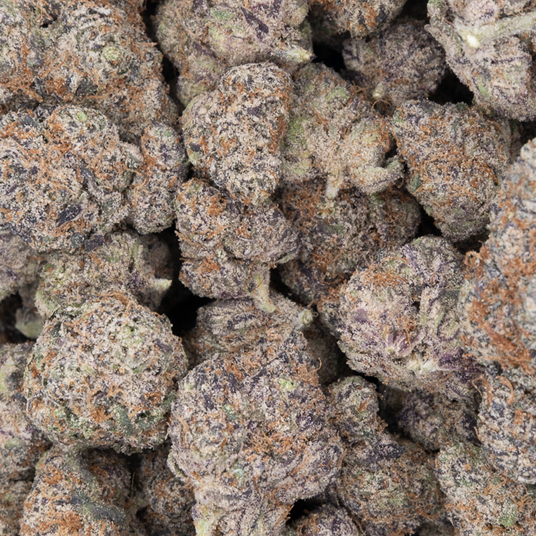 Tesoro Don Mega THCA Hemp Flower