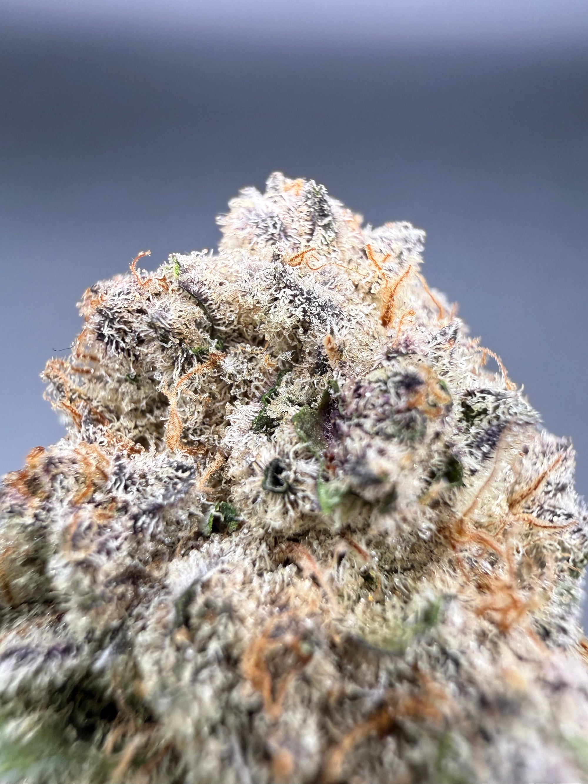 Sub-Zero - Exotic THCa Flower