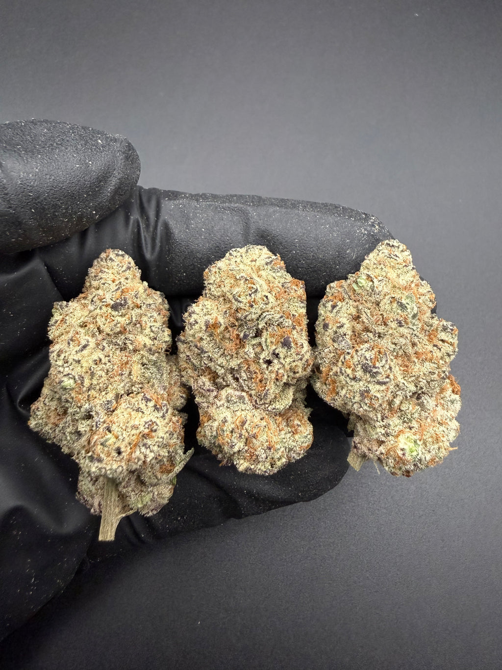 Flex Panther - Exotic THCa Flower