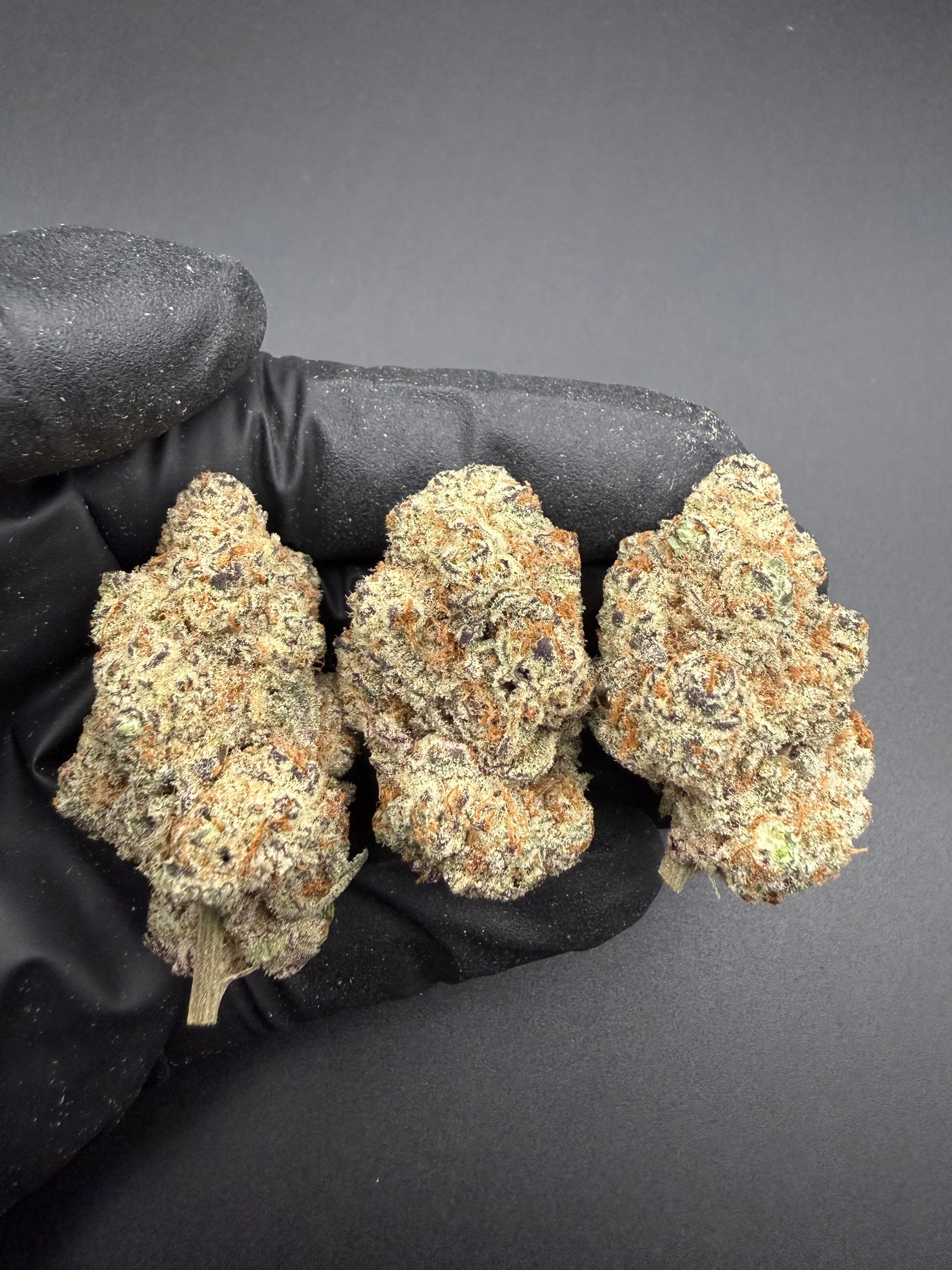 Flex Panther - Exotic THCa Flower