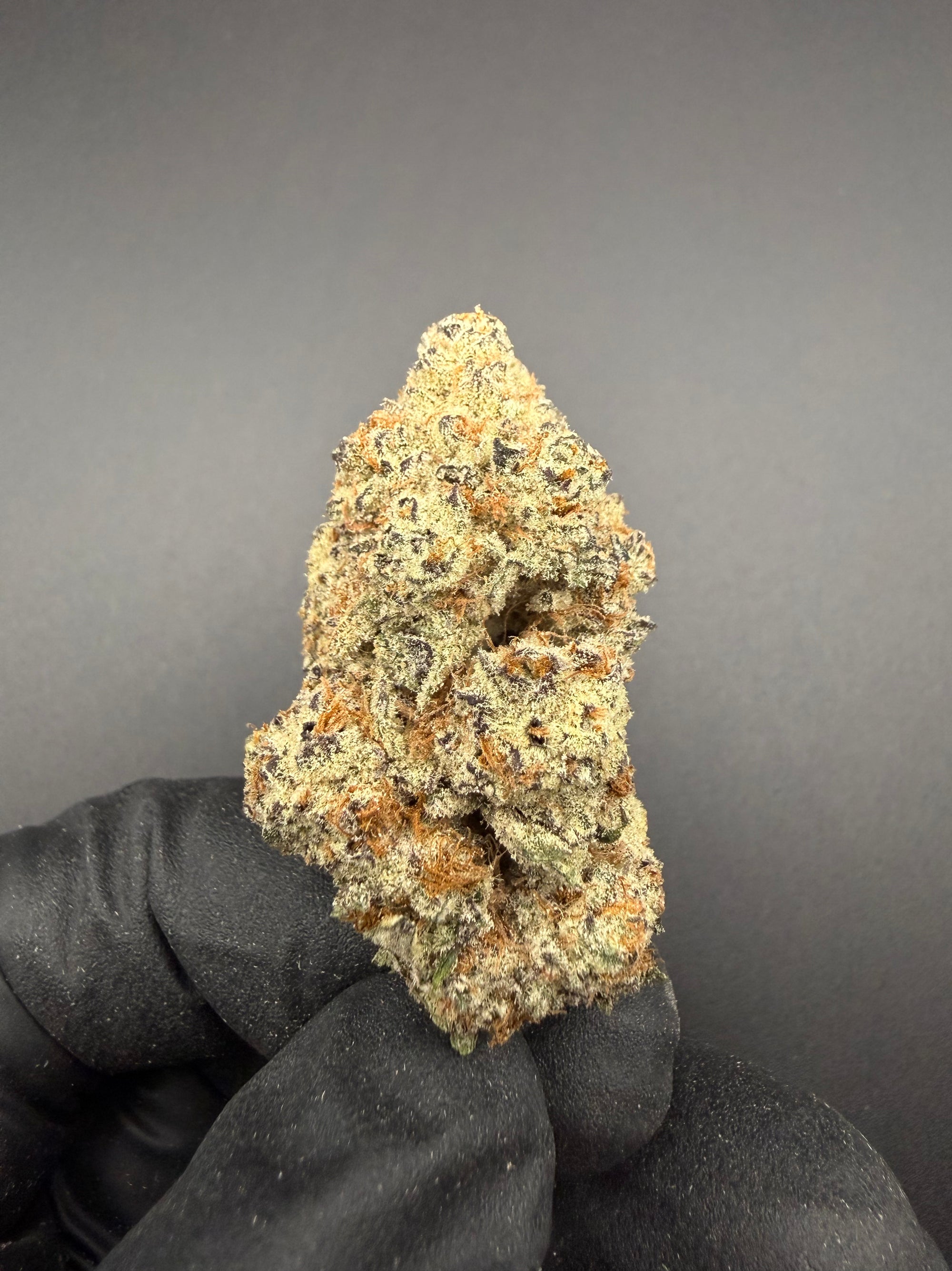 Flex Panther - Exotic THCa Flower