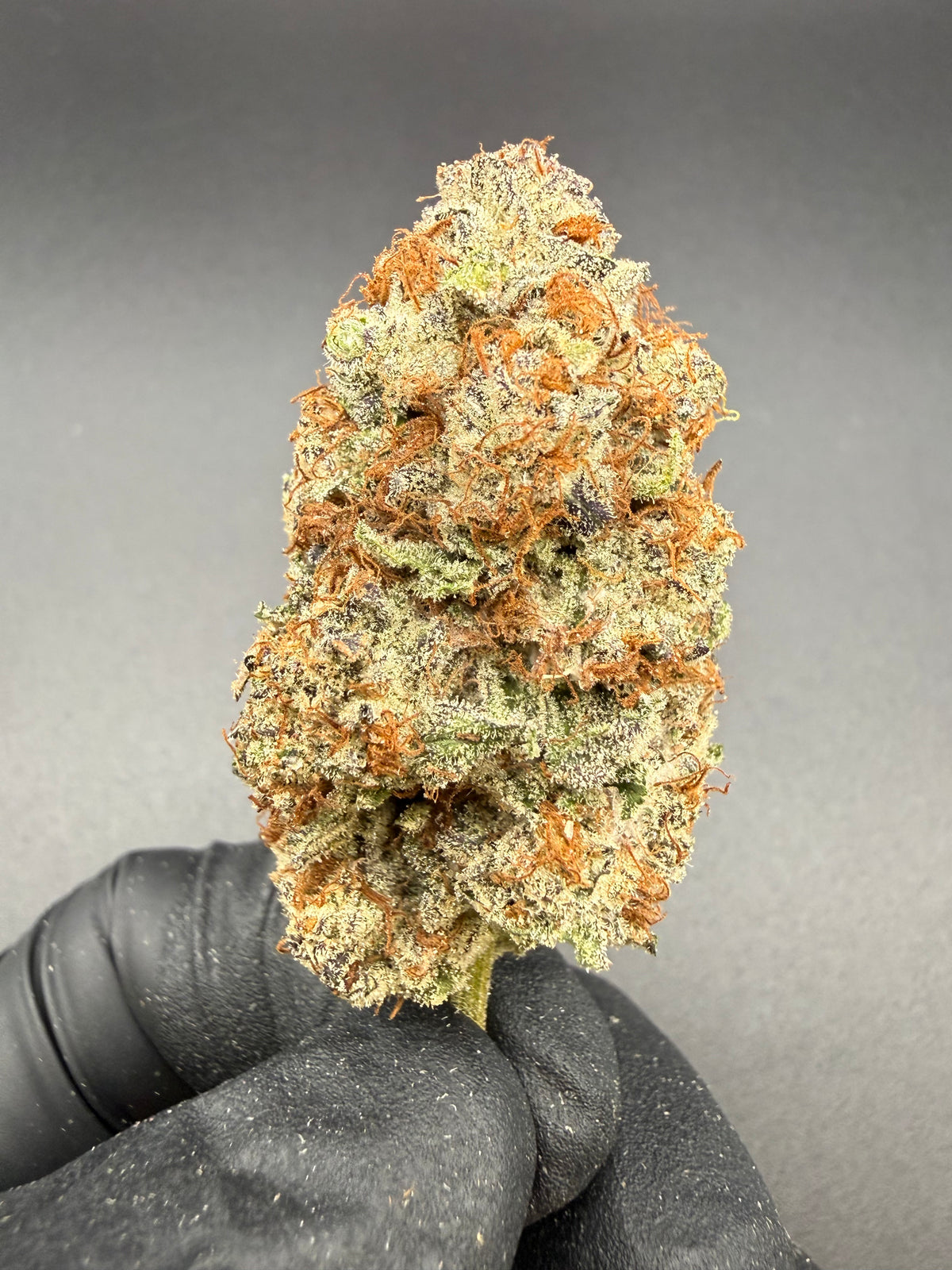 Gary Payton - Exotic THCa Flower