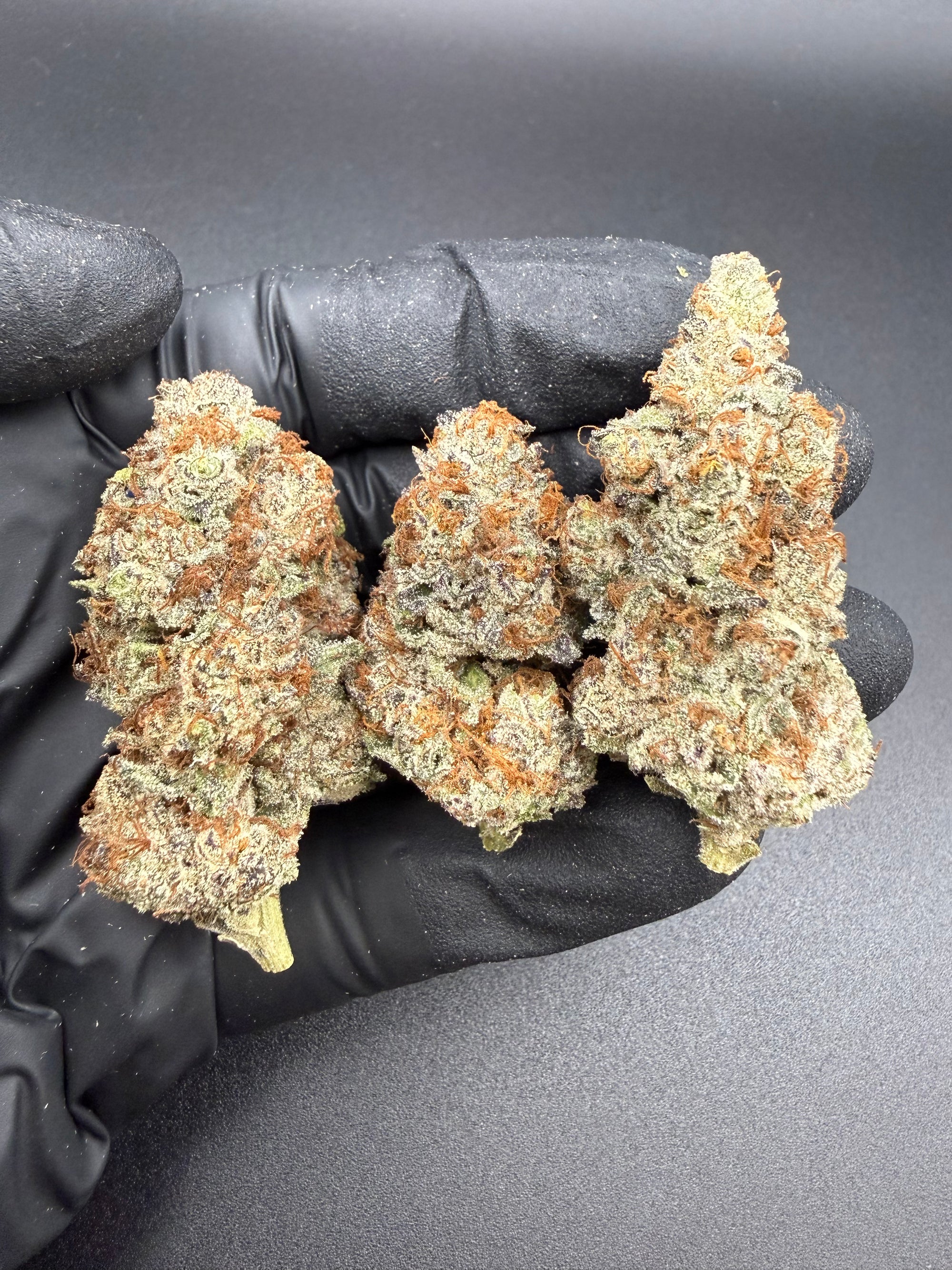 Gary Payton -  Exotic Bulk THCa Flower