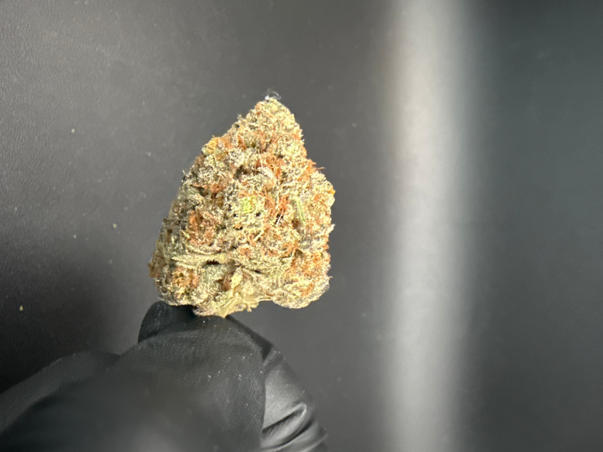 Gary Payton - Exotic THCa Flower