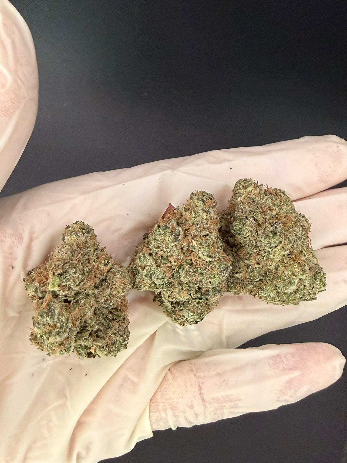 Gelato #33 - Exotic THCa Flower