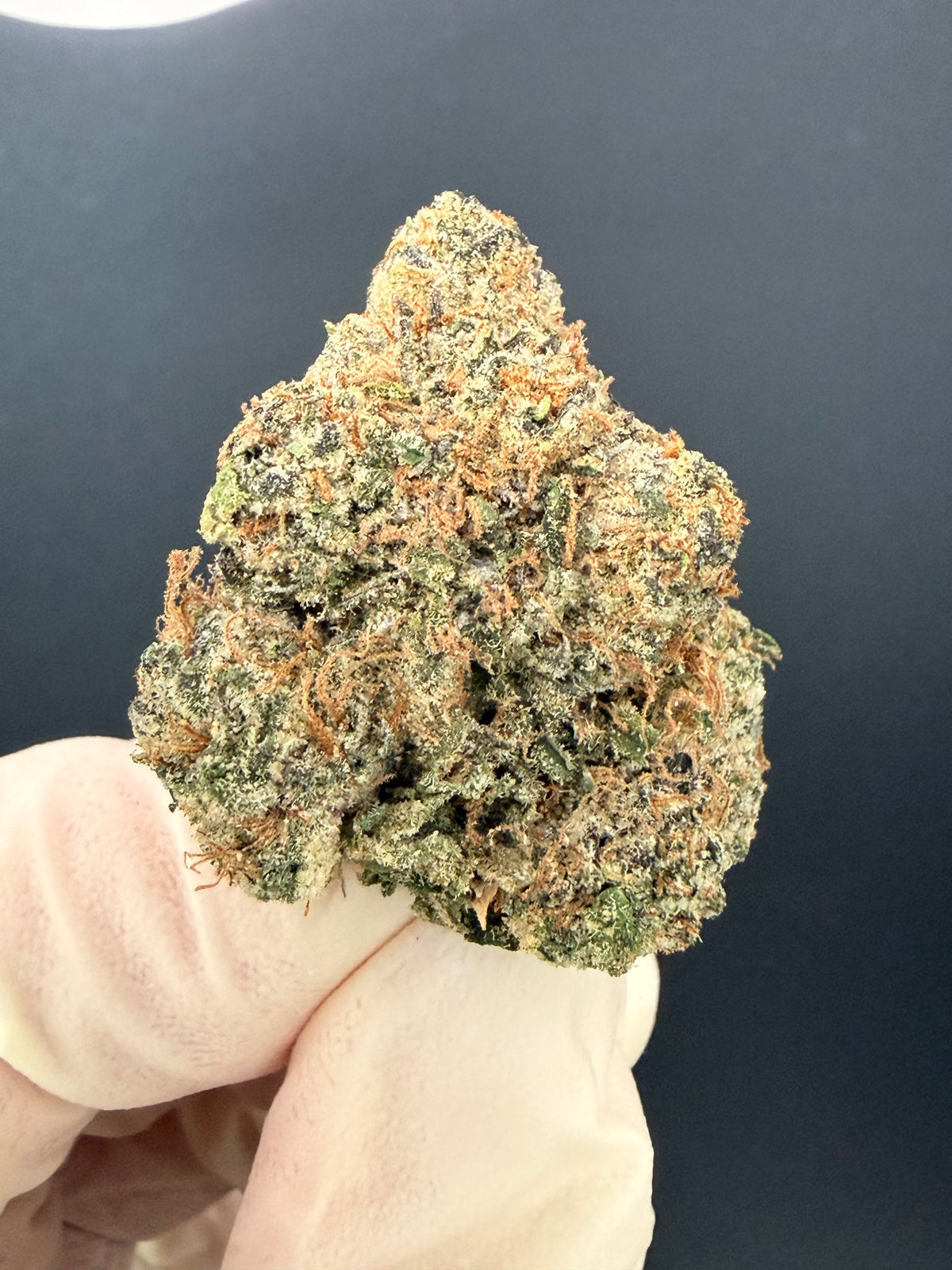 Gelato #33 - Exotic THCa Flower