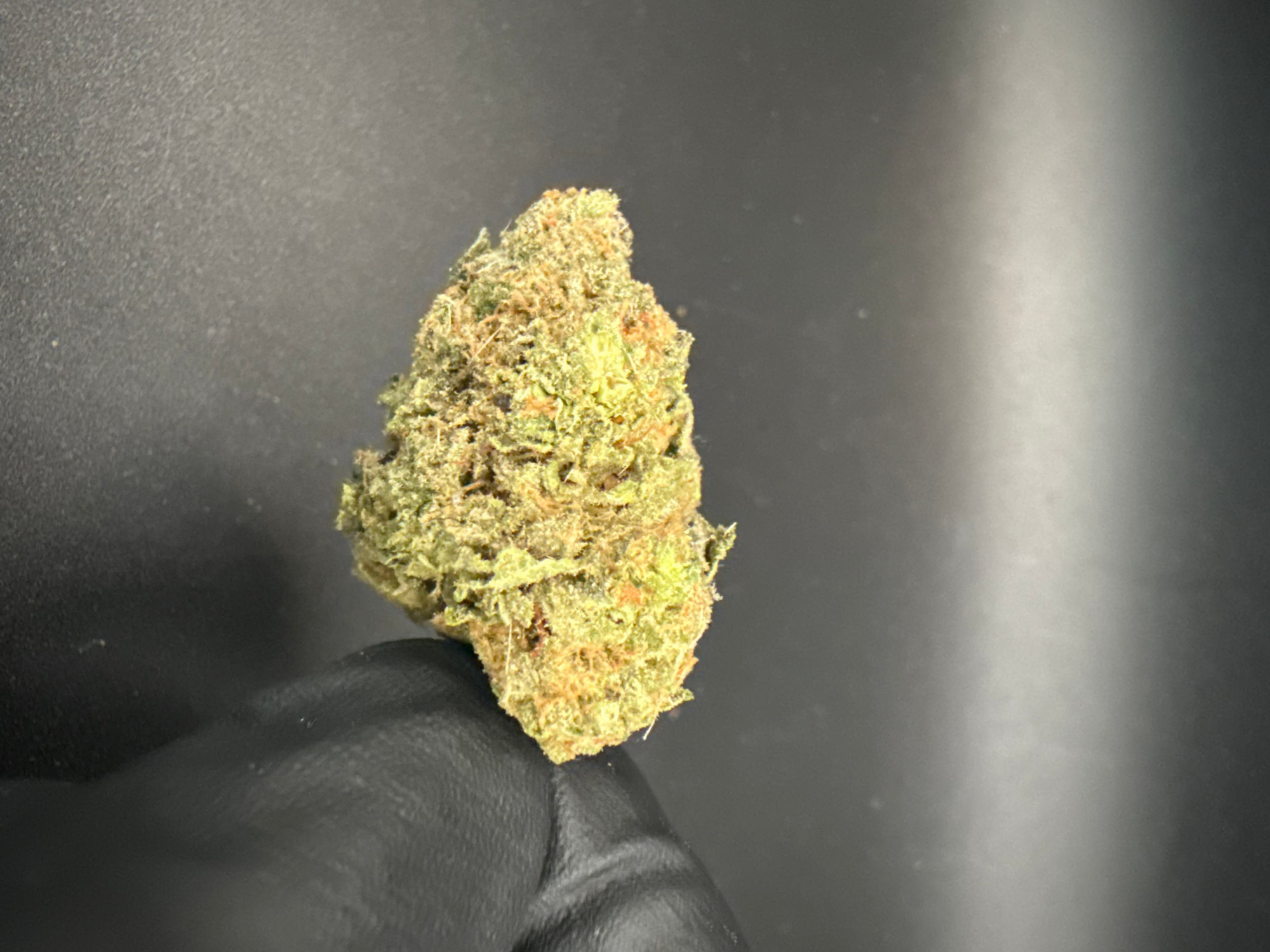Glitter Bomb - Premium THCa Flower