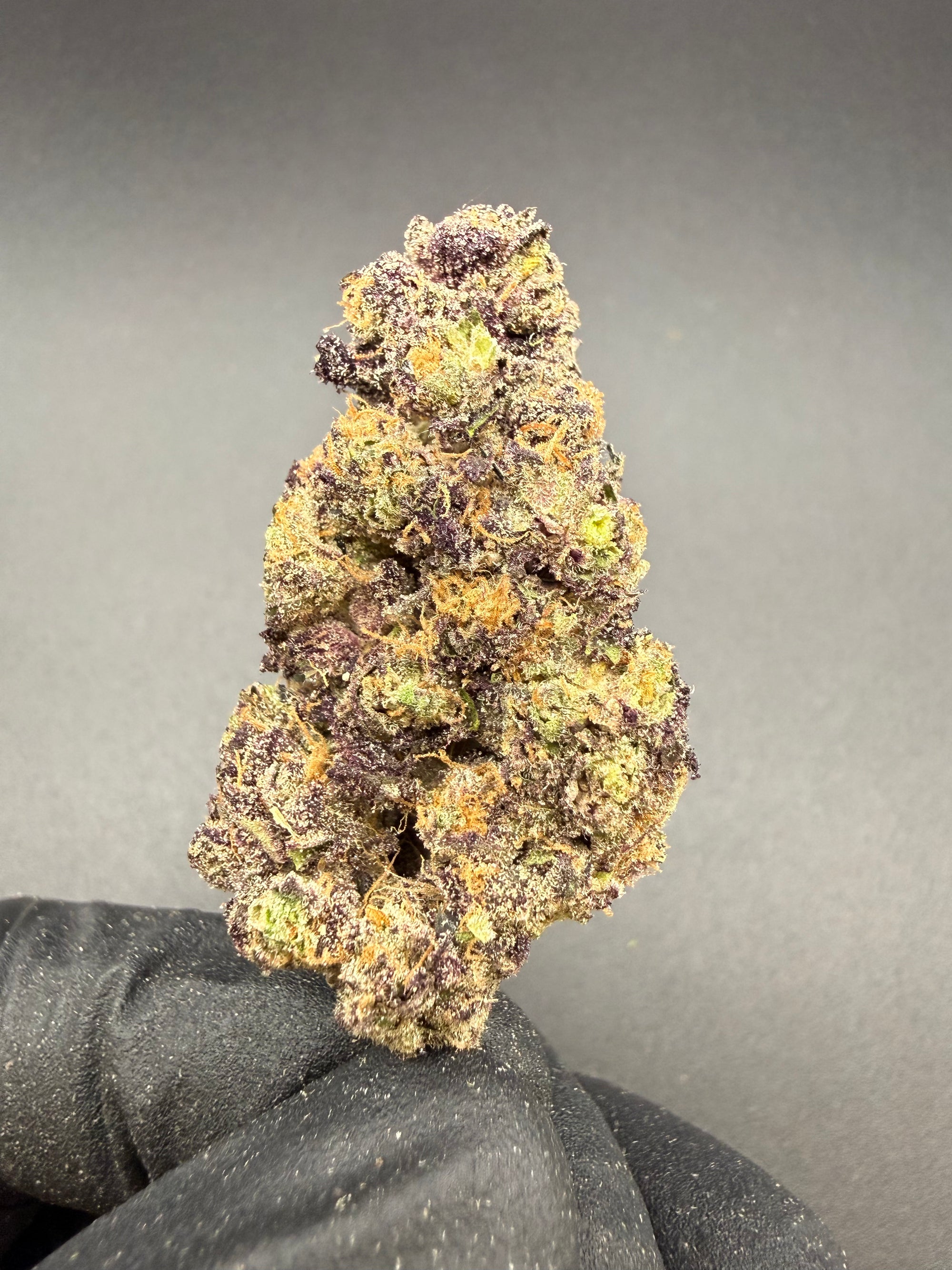 Glitter Bomb -  Premium Bulk THCa Flower