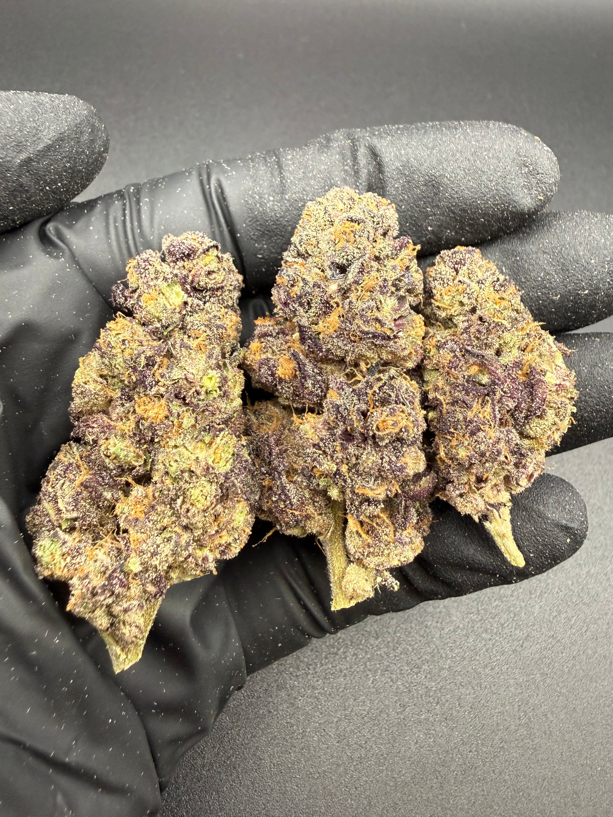 Glitter Bomb -  Premium Bulk THCa Flower