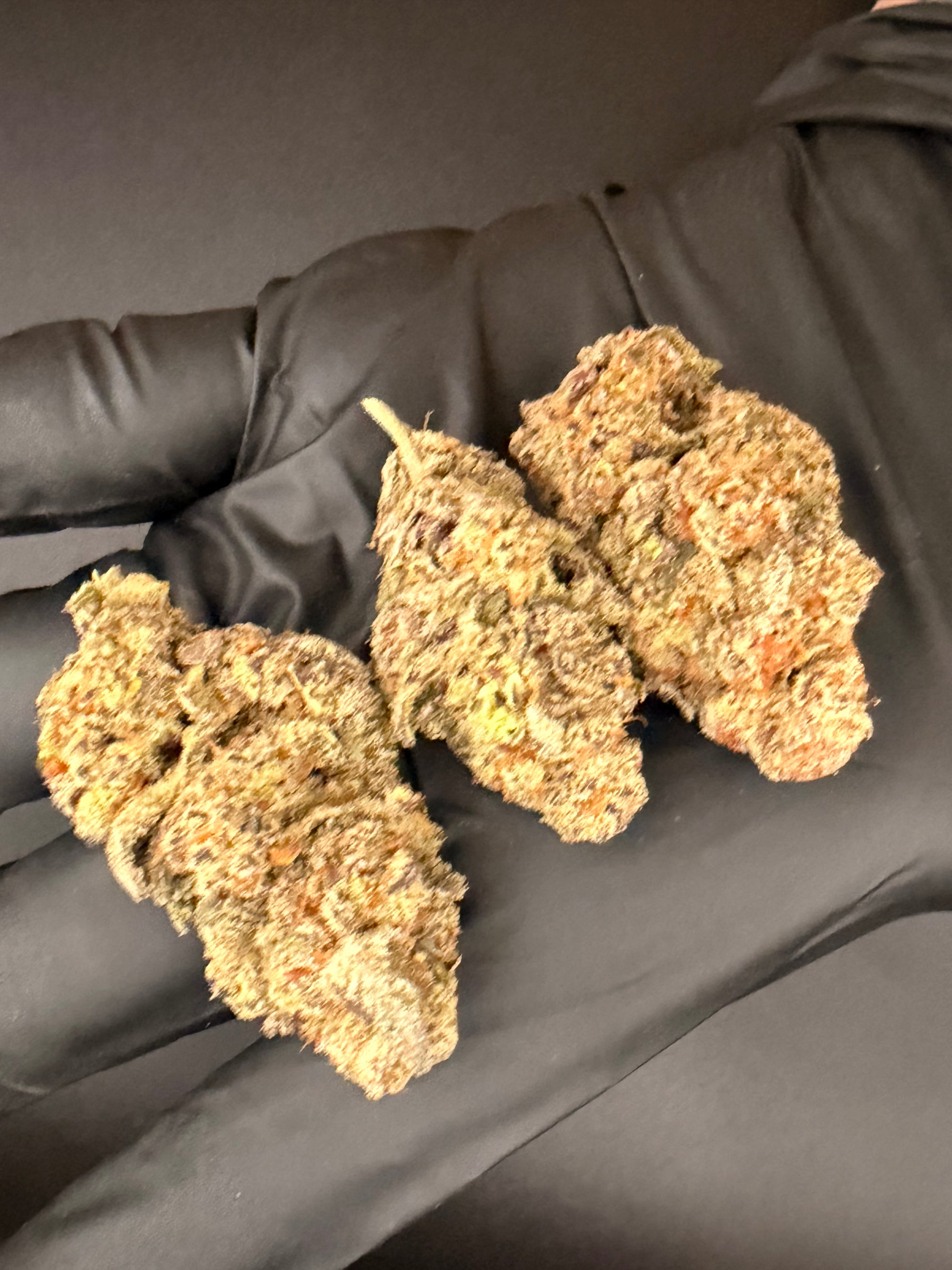 Glitter Bomb - Premium Bulk THCa Flower