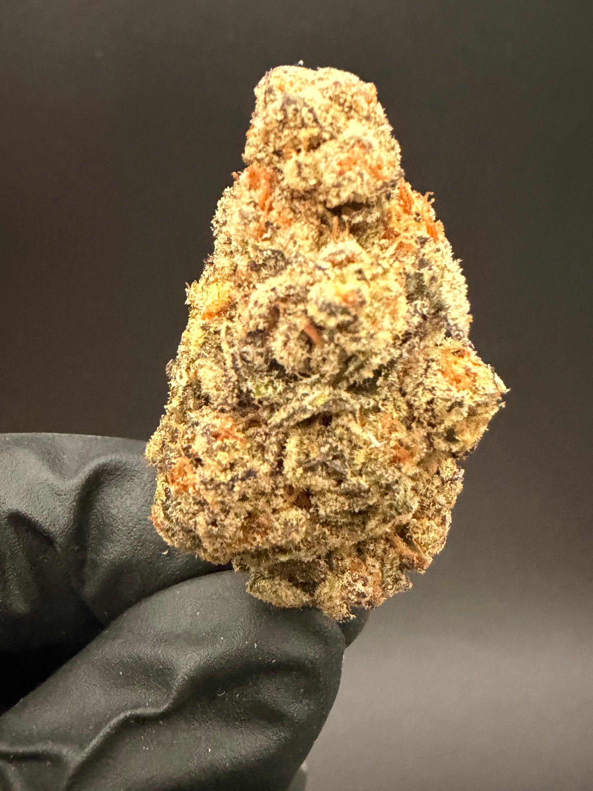 Glitter Bomb - Premium Bulk THCa Flower