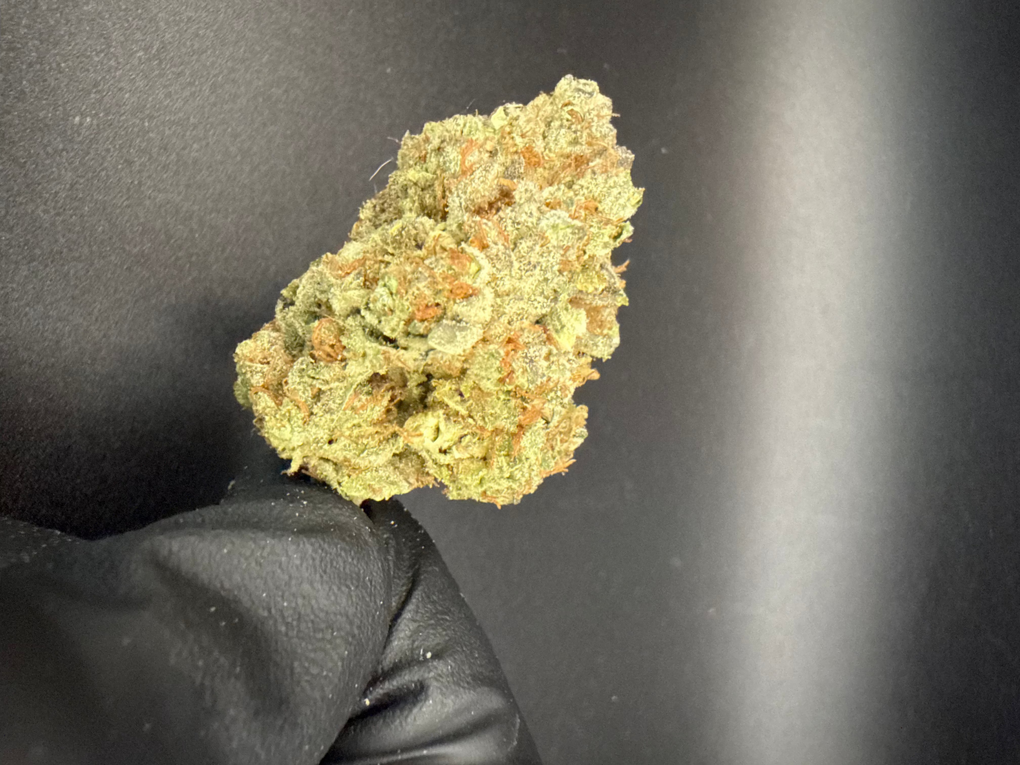 Gorilla Breath - Premium THCa Flower