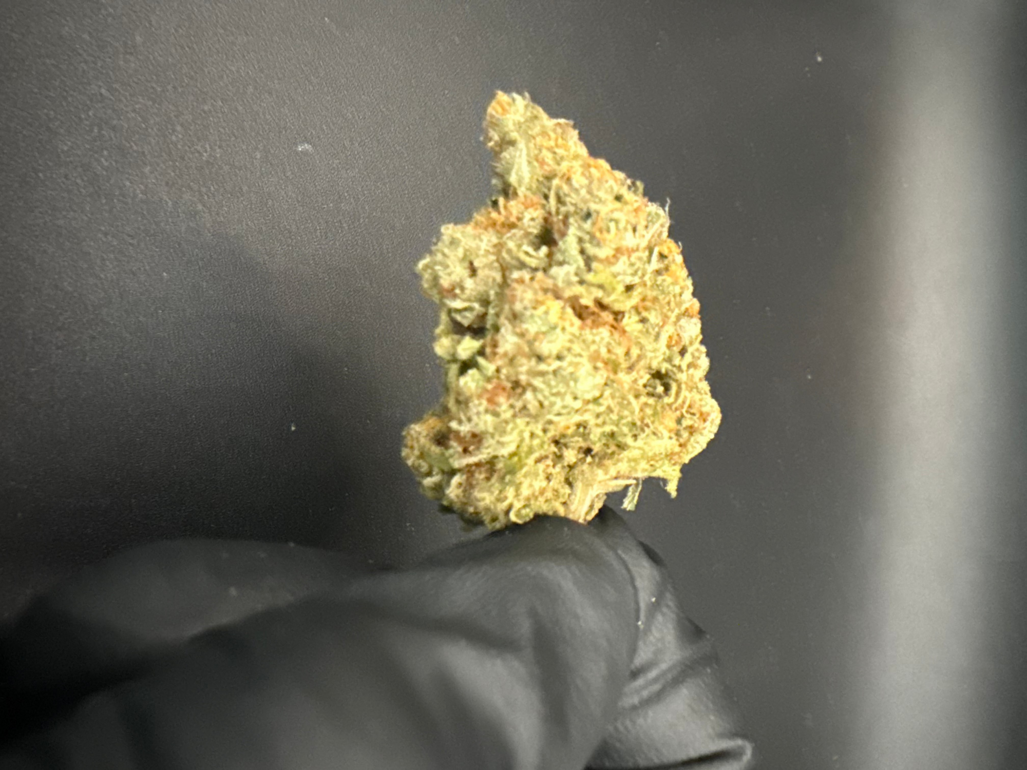 Grape Diesel - Premium THCa Flower